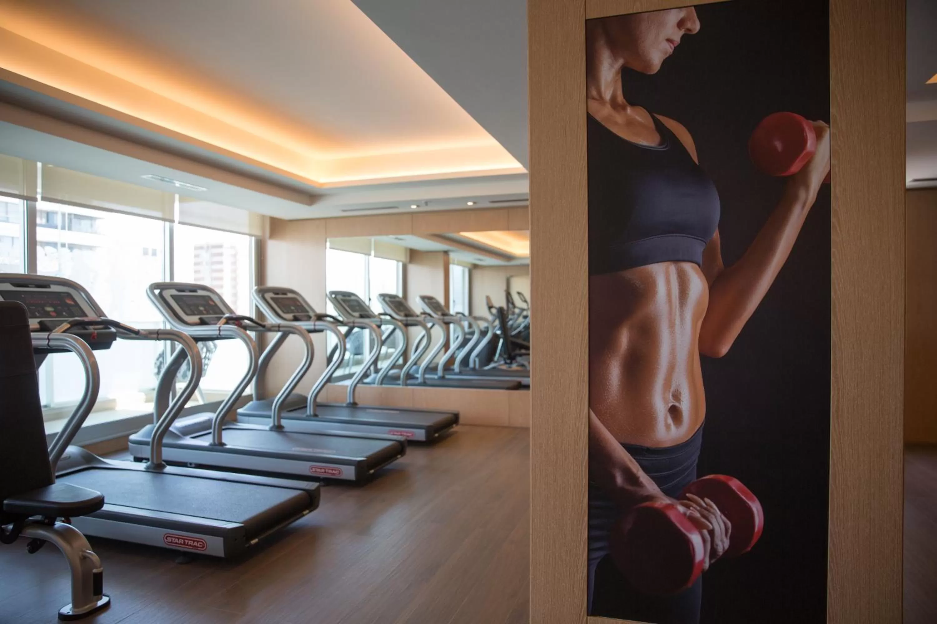 Fitness centre/facilities in Palladio Hotel Buenos Aires - MGallery Collection