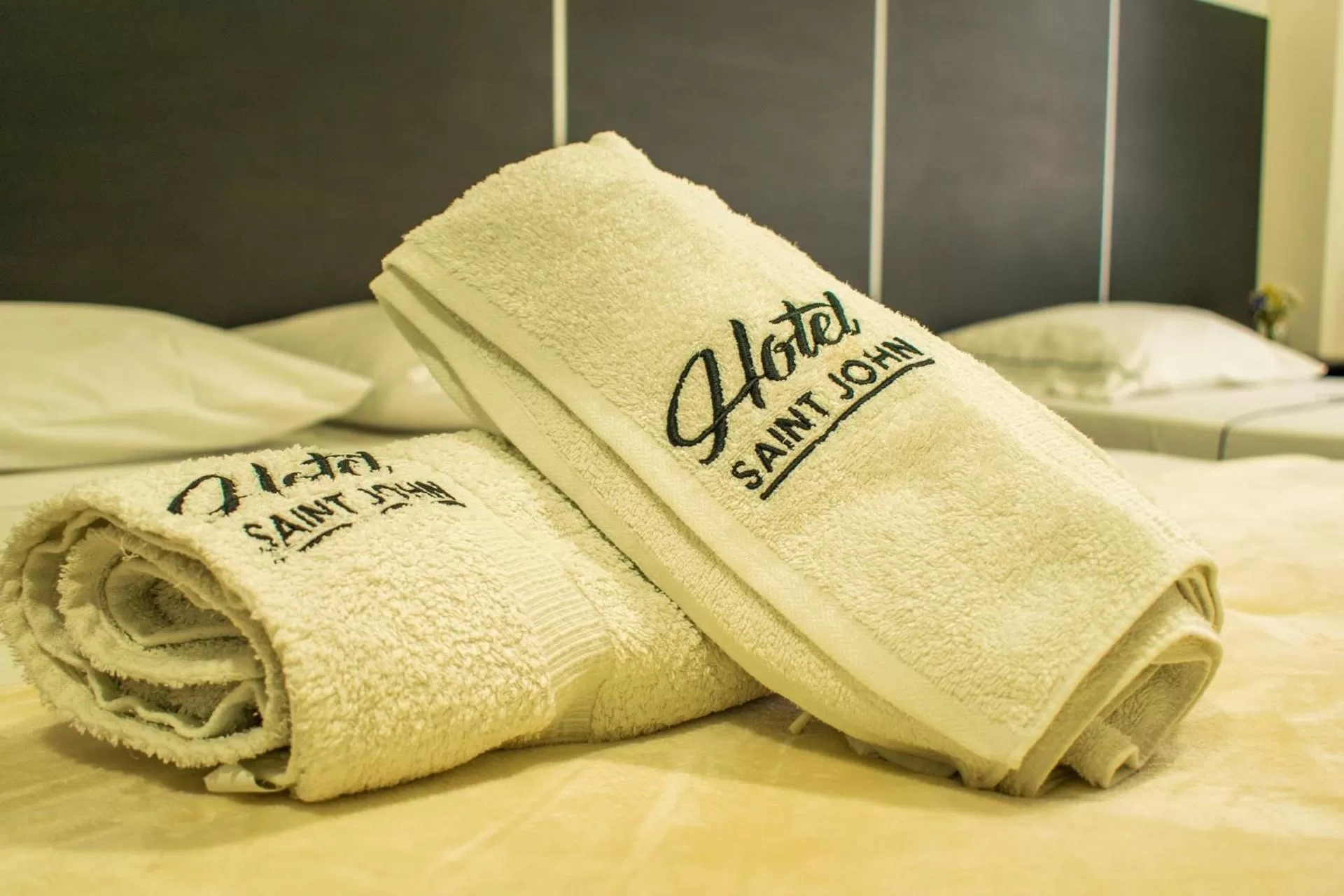 Property logo or sign, Property Logo/Sign in Hotel Saint John