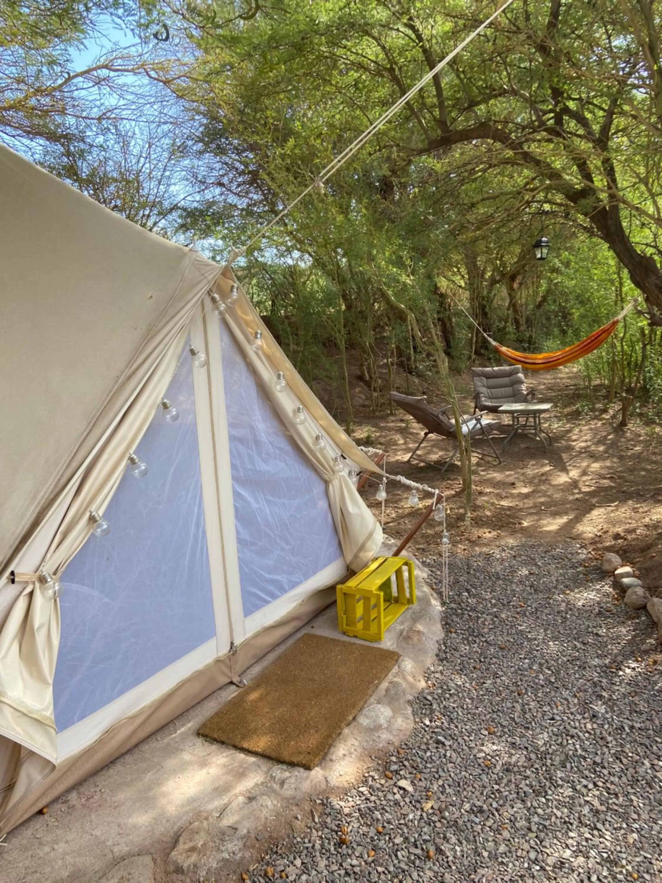 Spring in CaminAndes Hostal