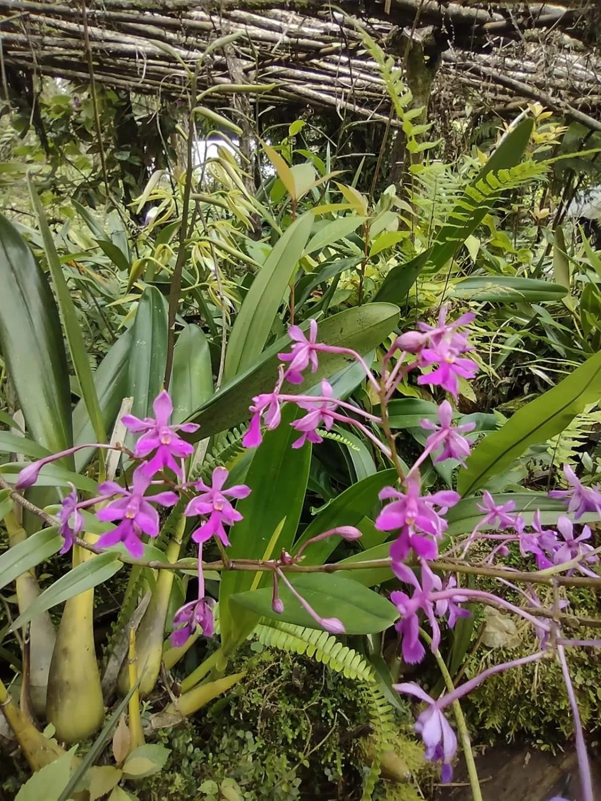 Posada Montaña del Quetzal