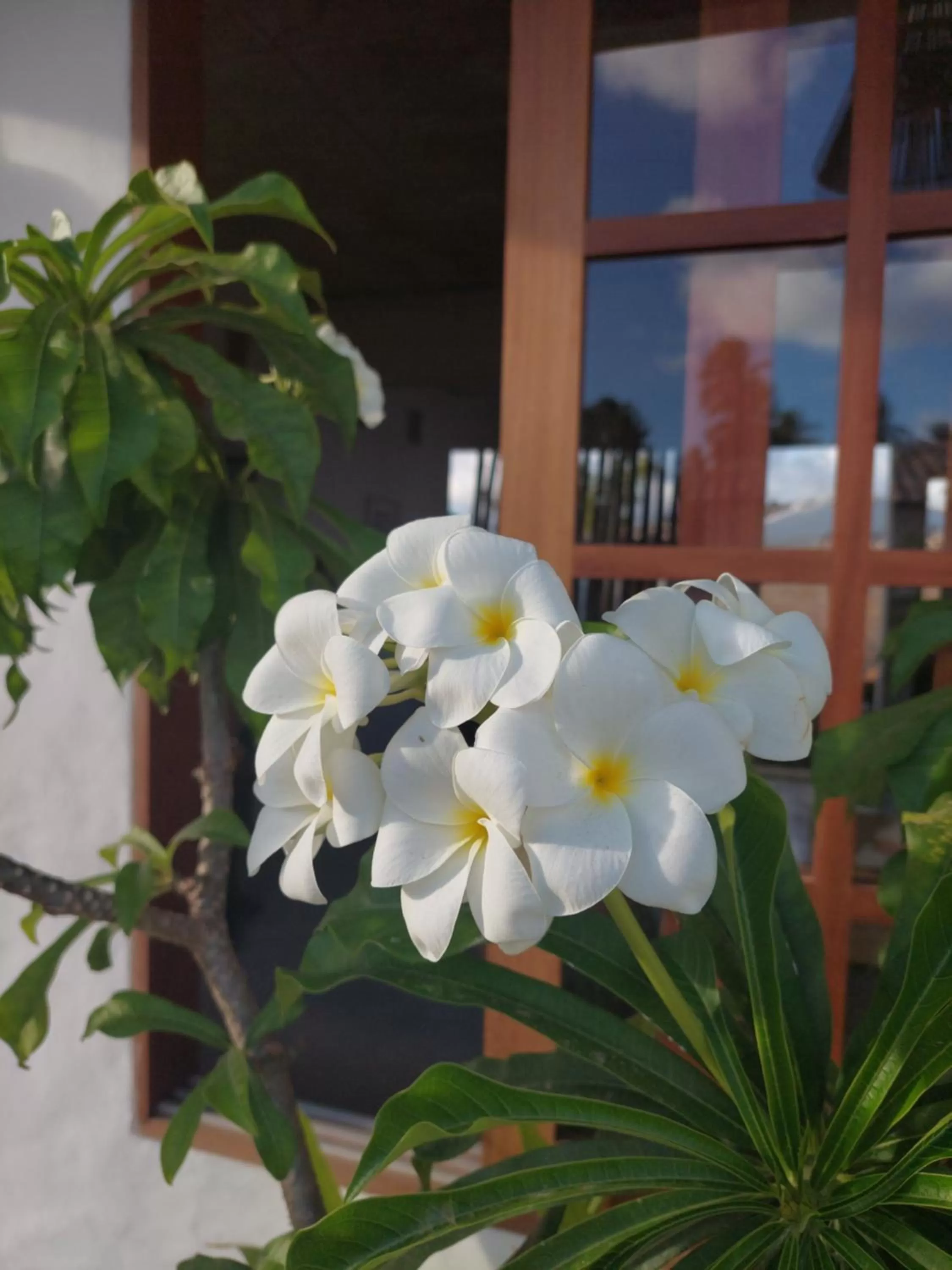 Facade/entrance in Arataba Hotel Boutique e Bistrô - 150 mts do mar