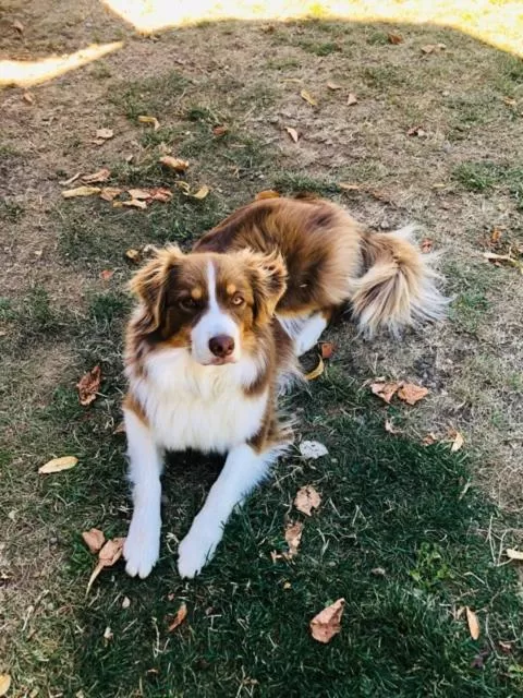 chambre d'hôtes Paulette et Pépin