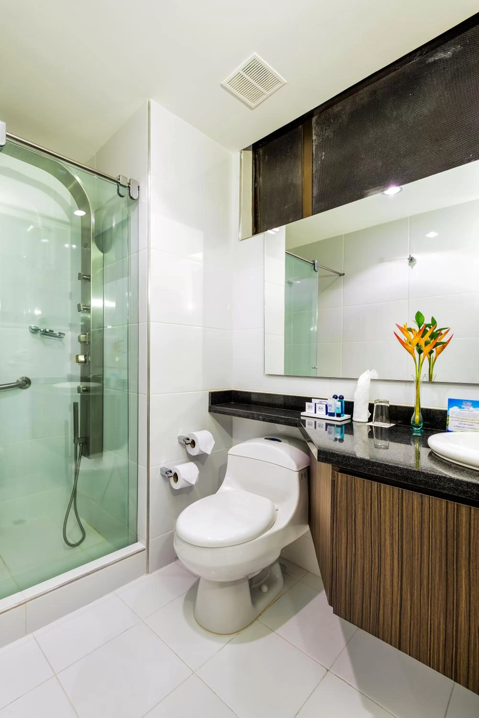 Bathroom in Hotel Dann Combeima