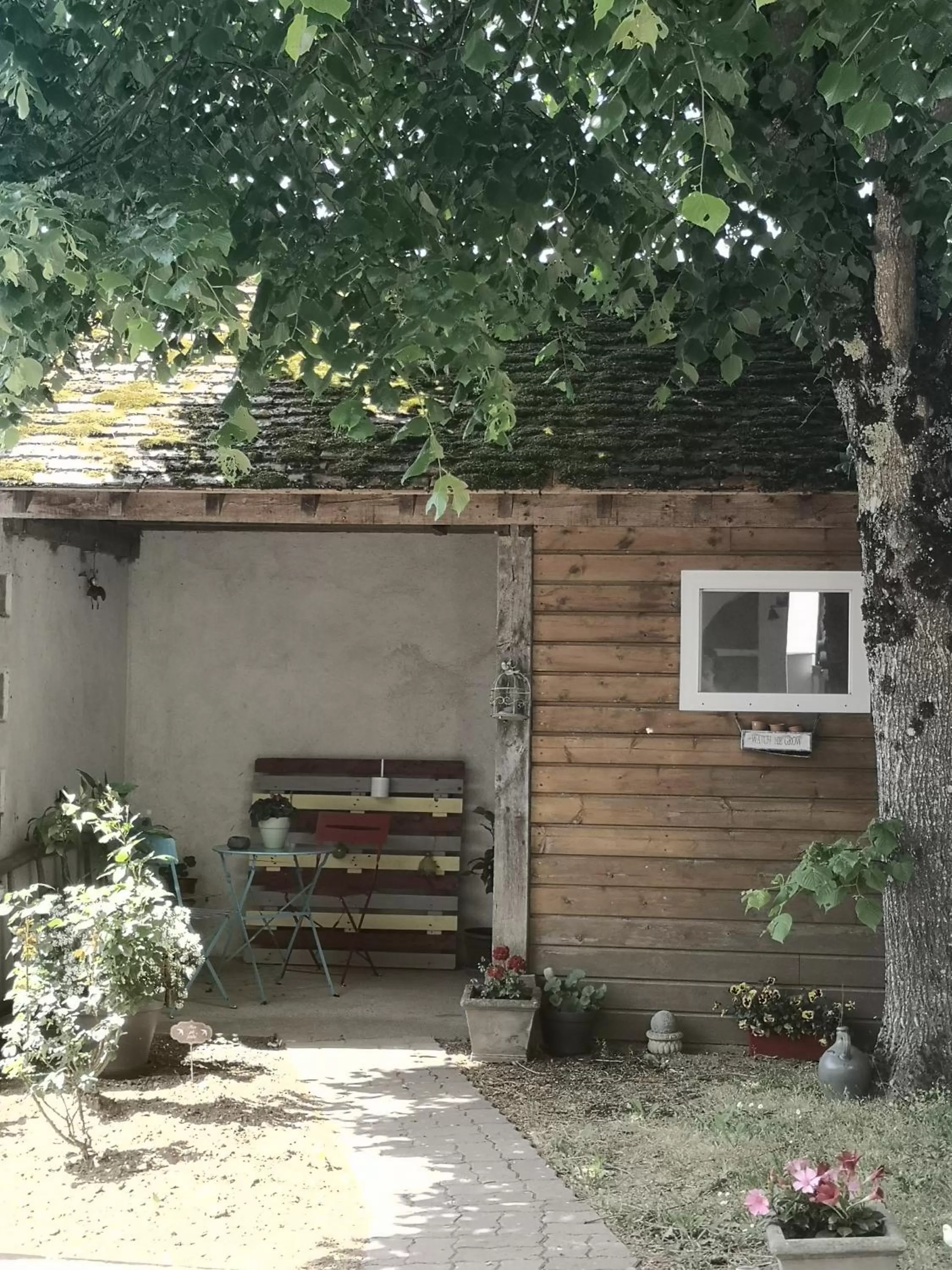 Garden view in Les Eléphants bleus