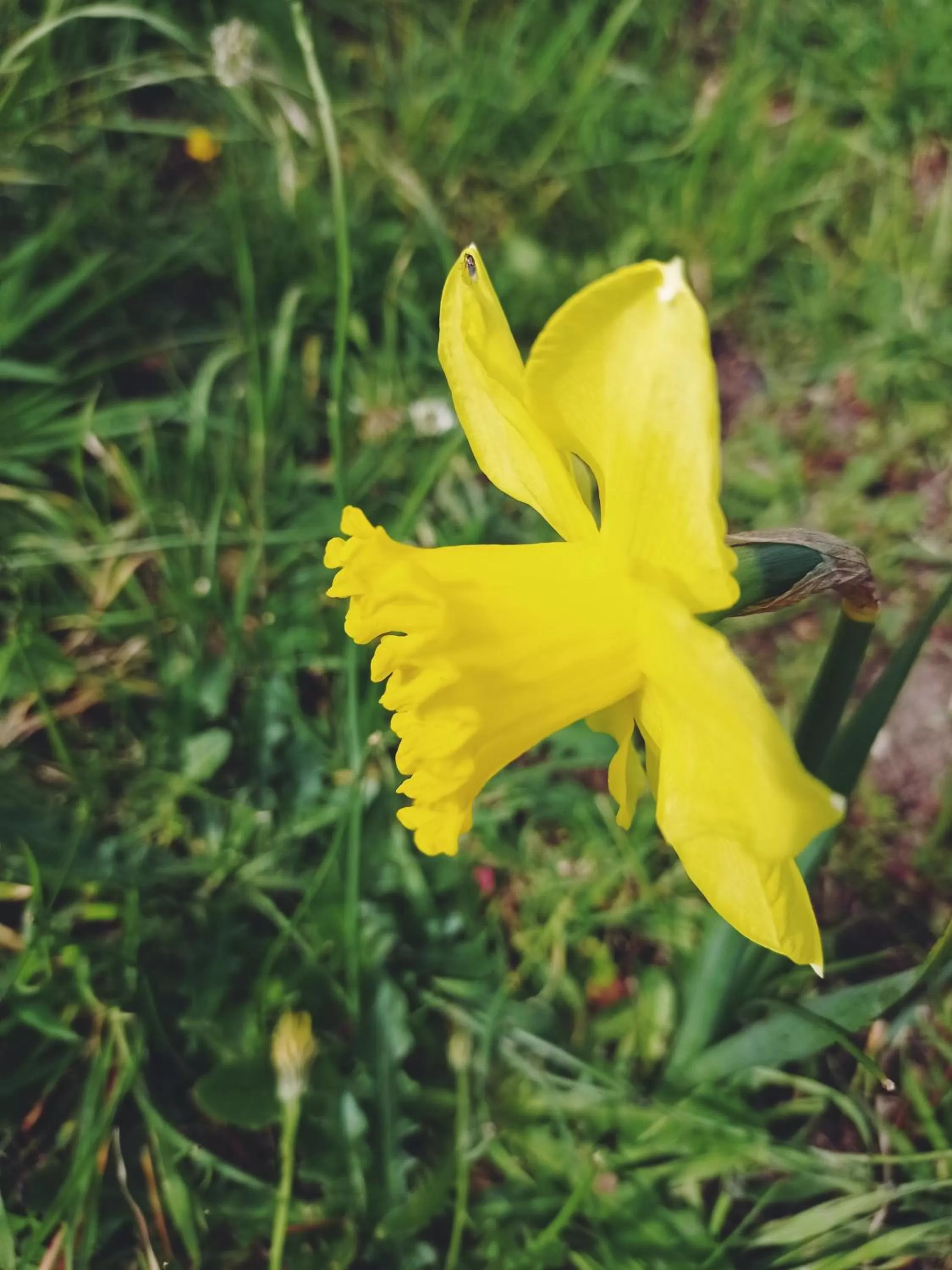 Hotel Refugio Pozo Azul