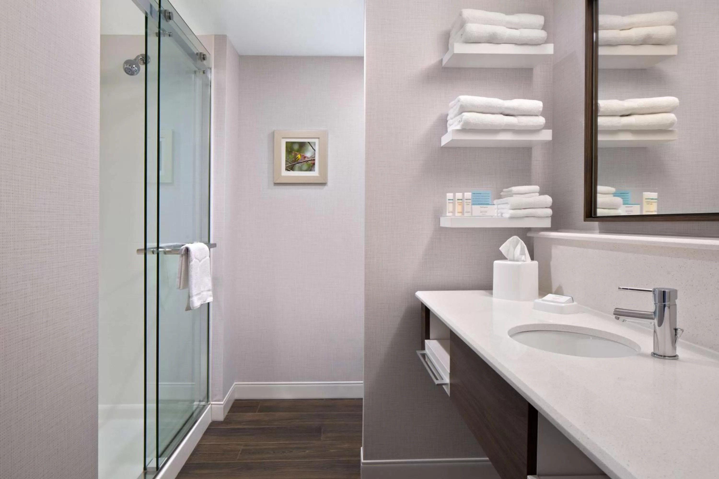 Bathroom in Hampton Inn & Suites- Seattle Woodinville Wa