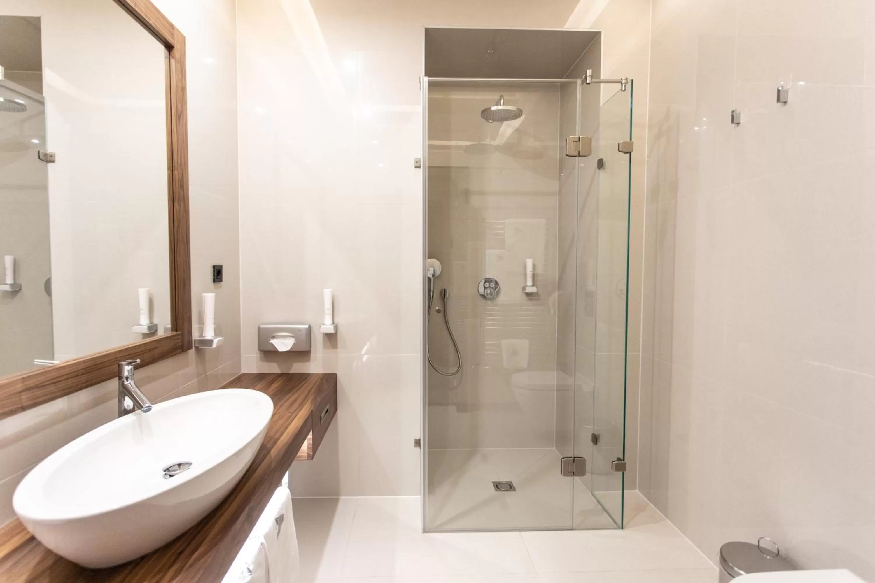 Shower in Artis Boutique Hotel