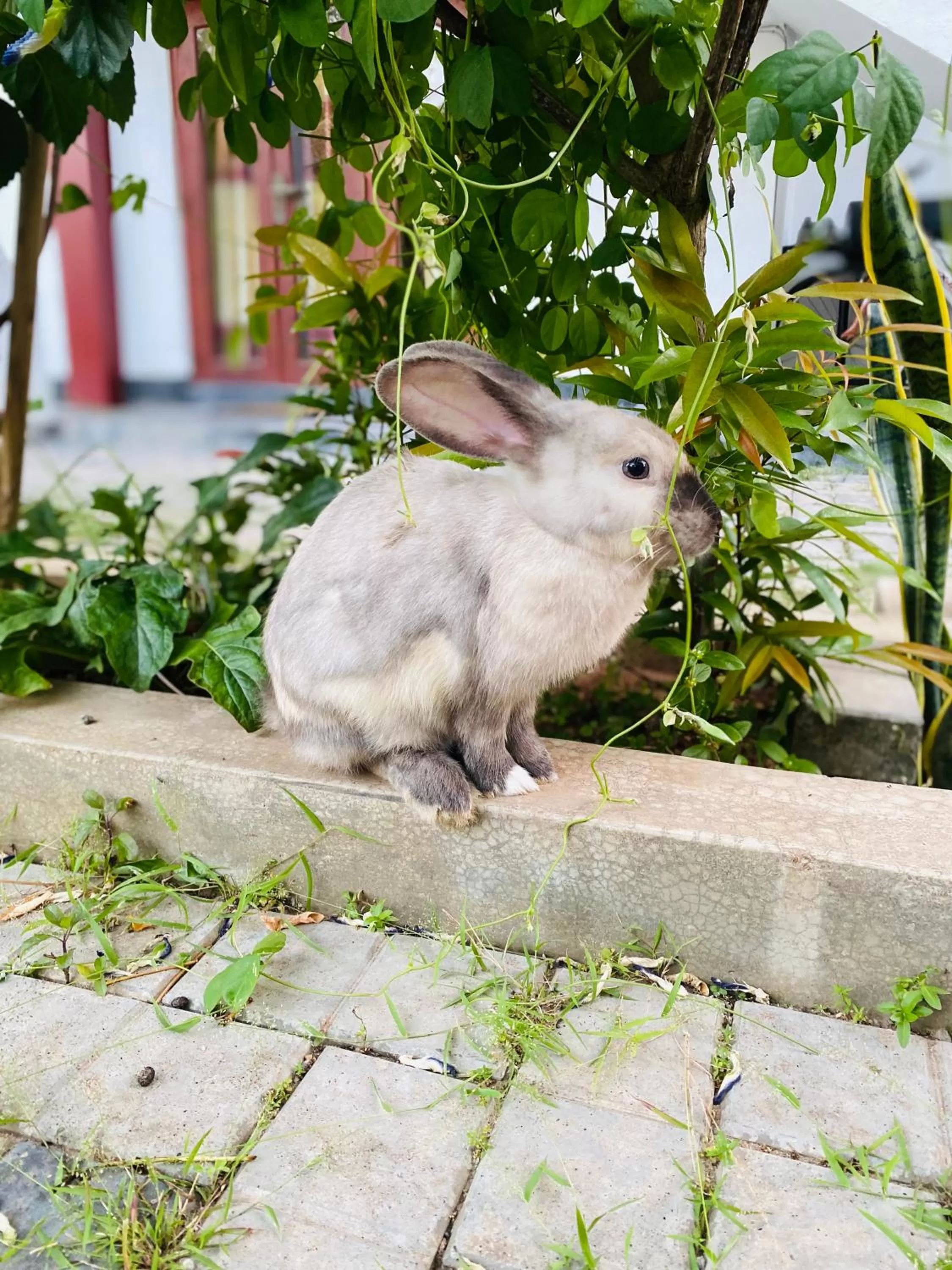 The Kingslayer Resort