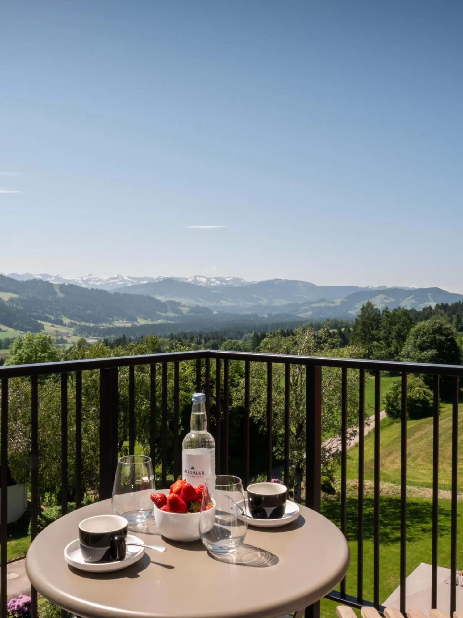 Balcony/Terrace in Alpenloge Hotel