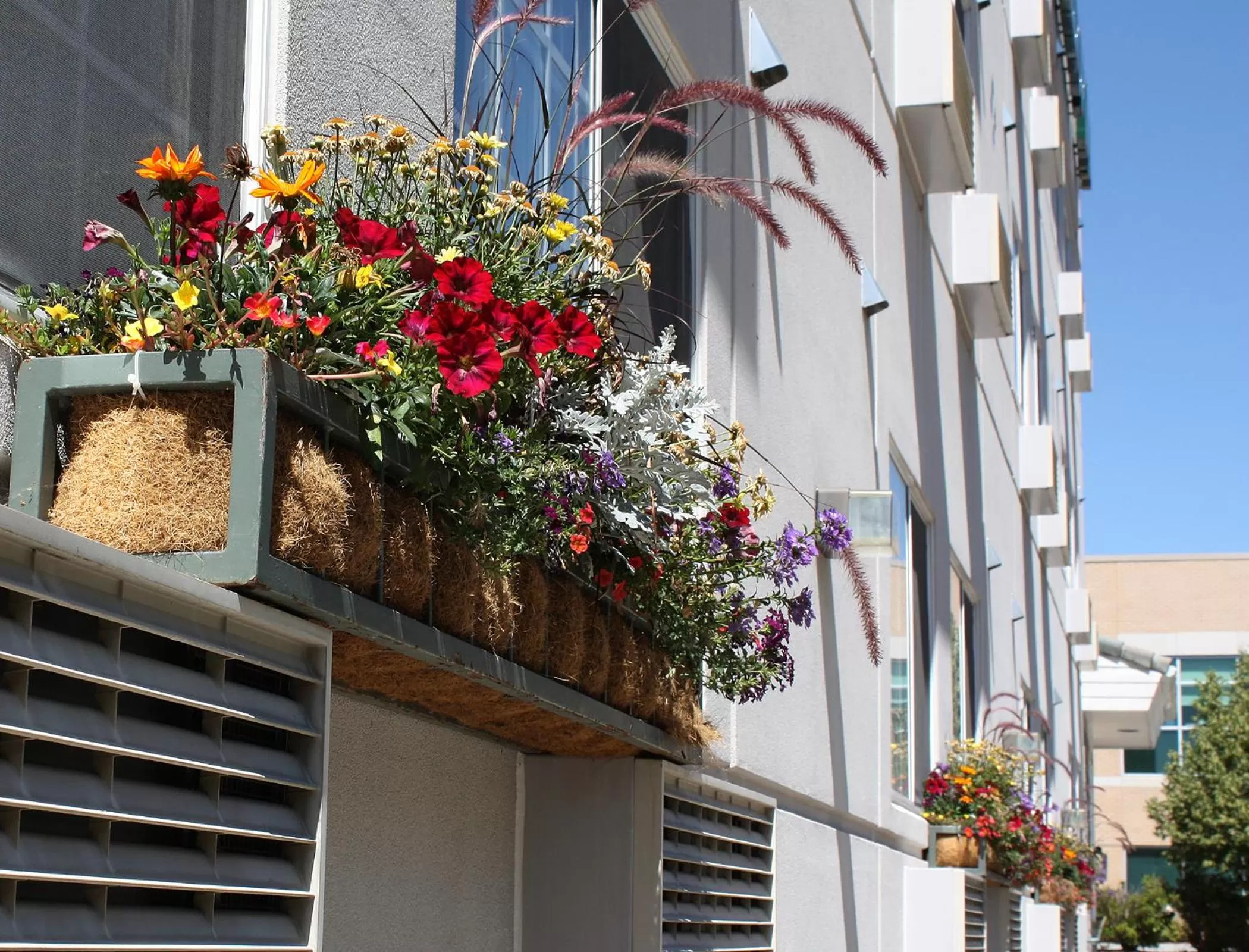 Facade/entrance in Hilltop Inn by Riversage