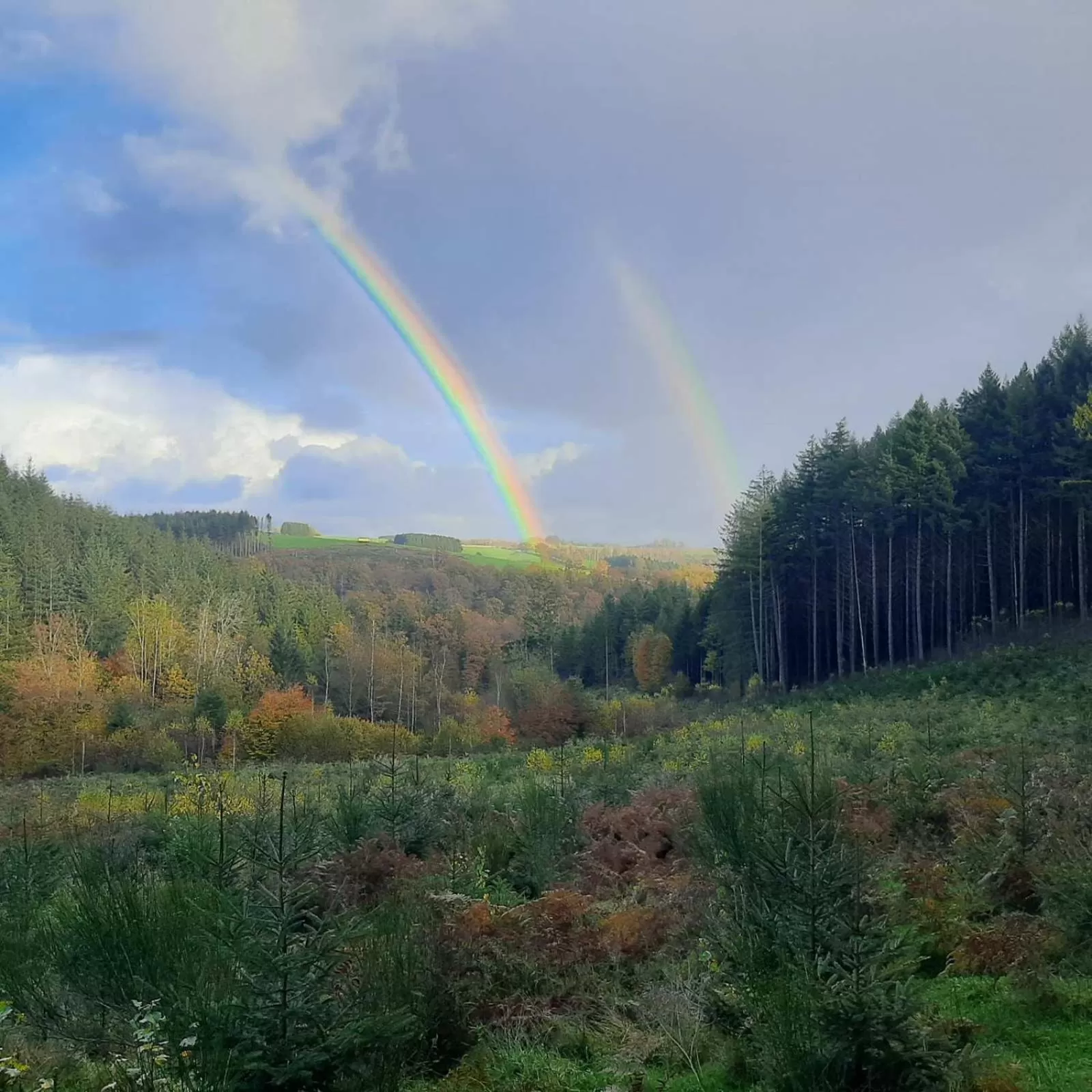 Off site, Natural Landscape in Golden Lion