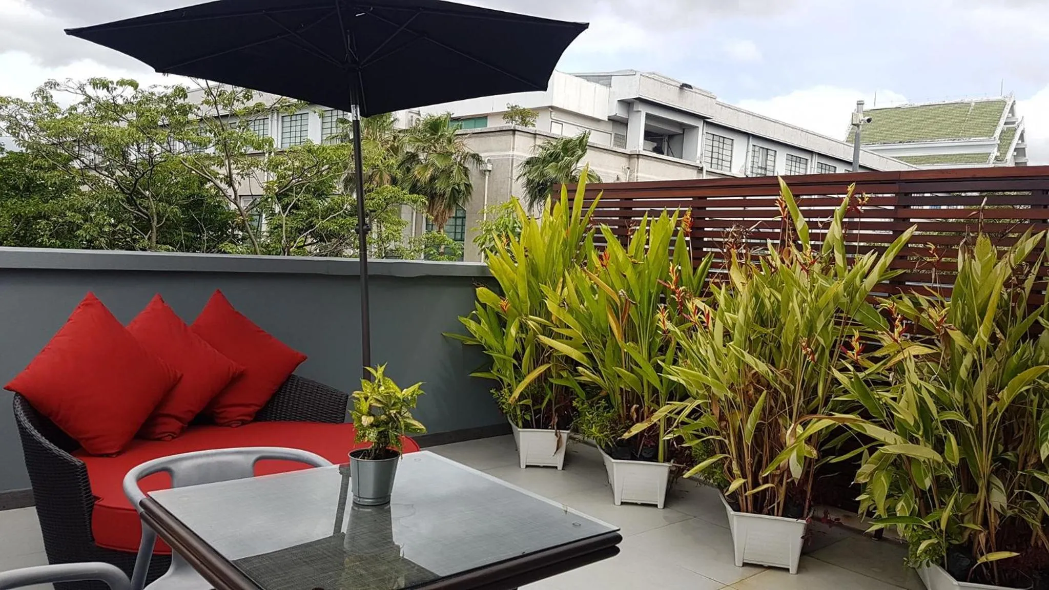 Garden in The Printing House Poshtel