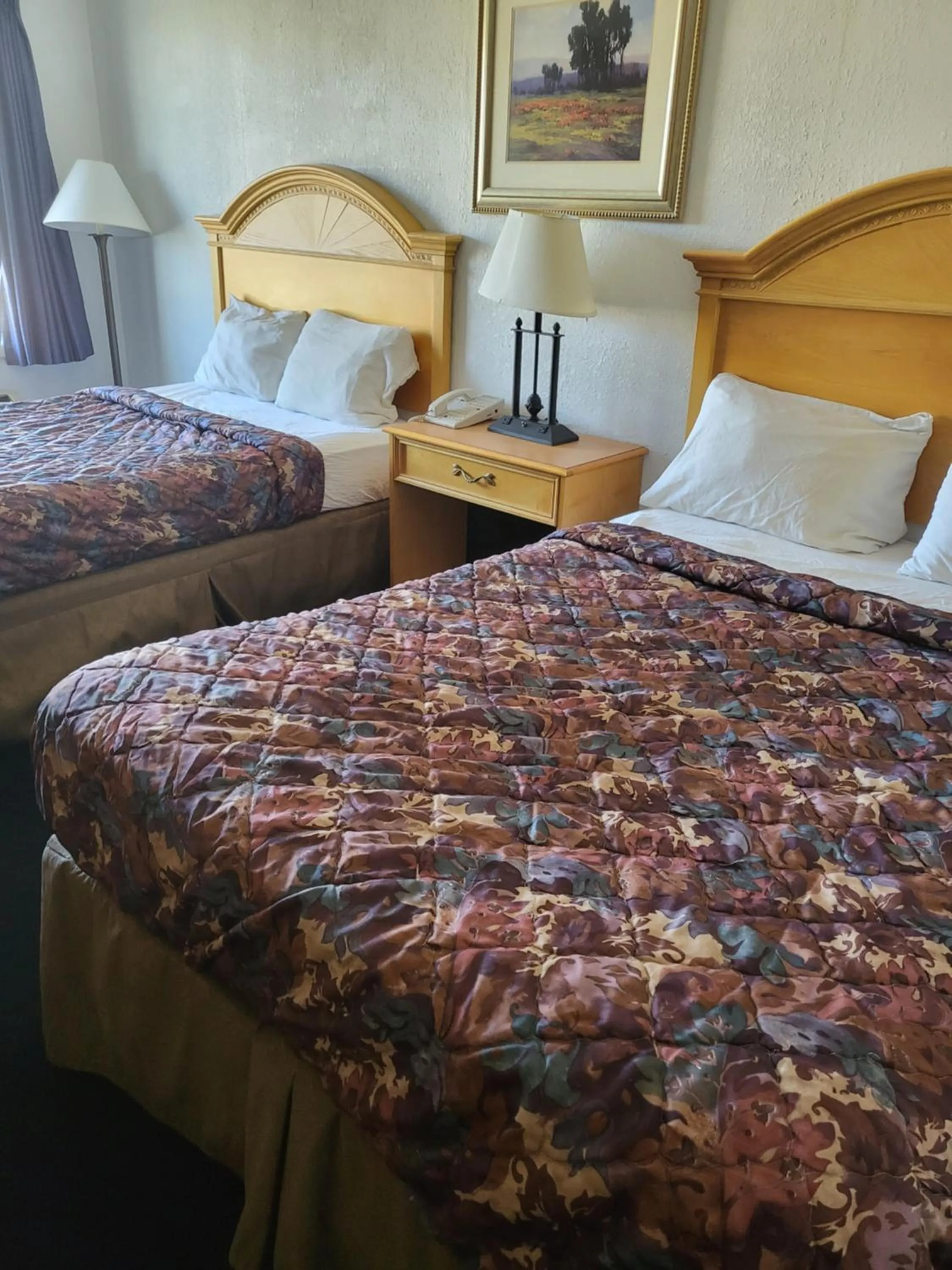 Bed in Rodeway Inn Brazil