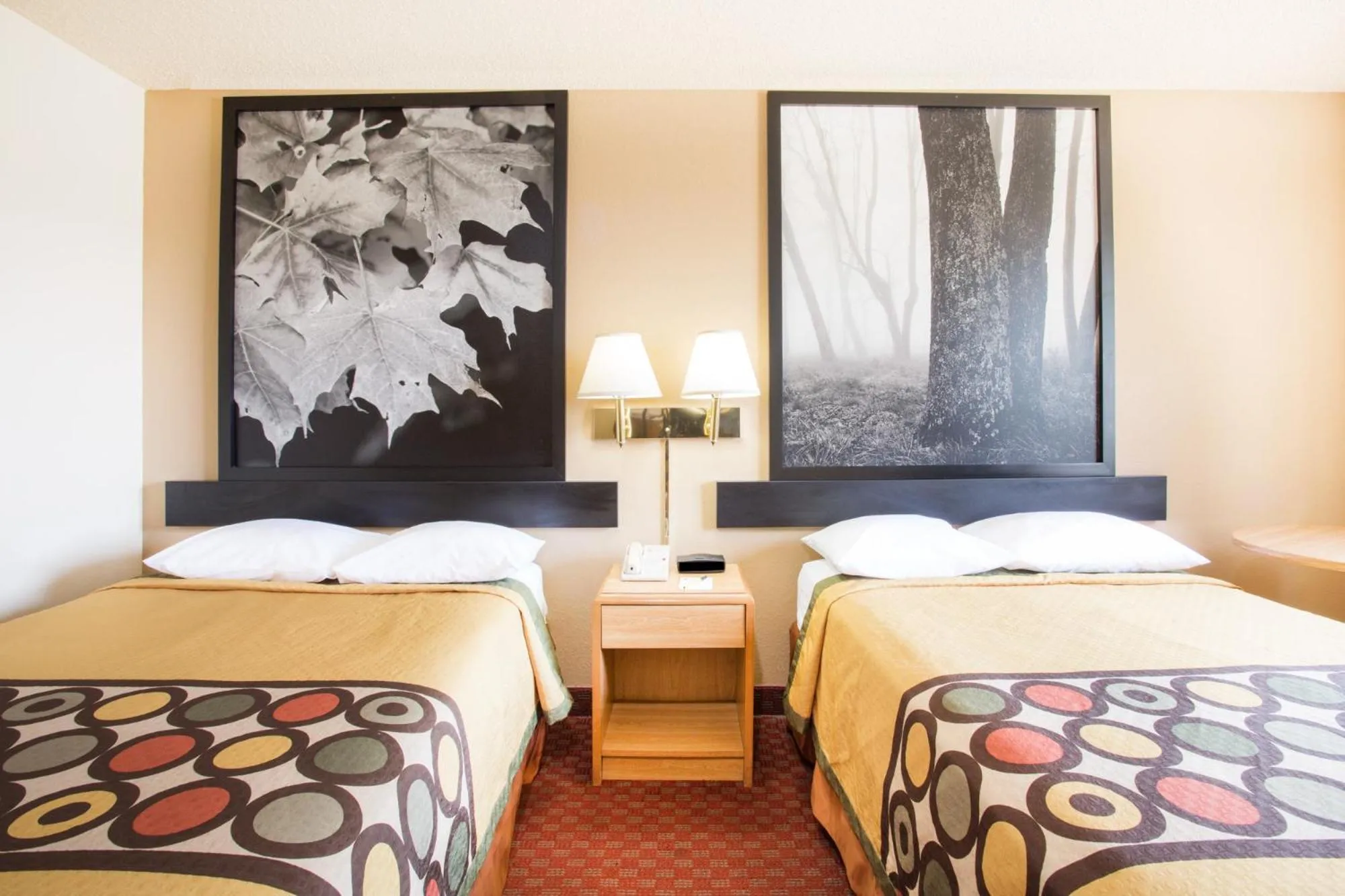 Bed in Super 8 by Wyndham Lexington VA