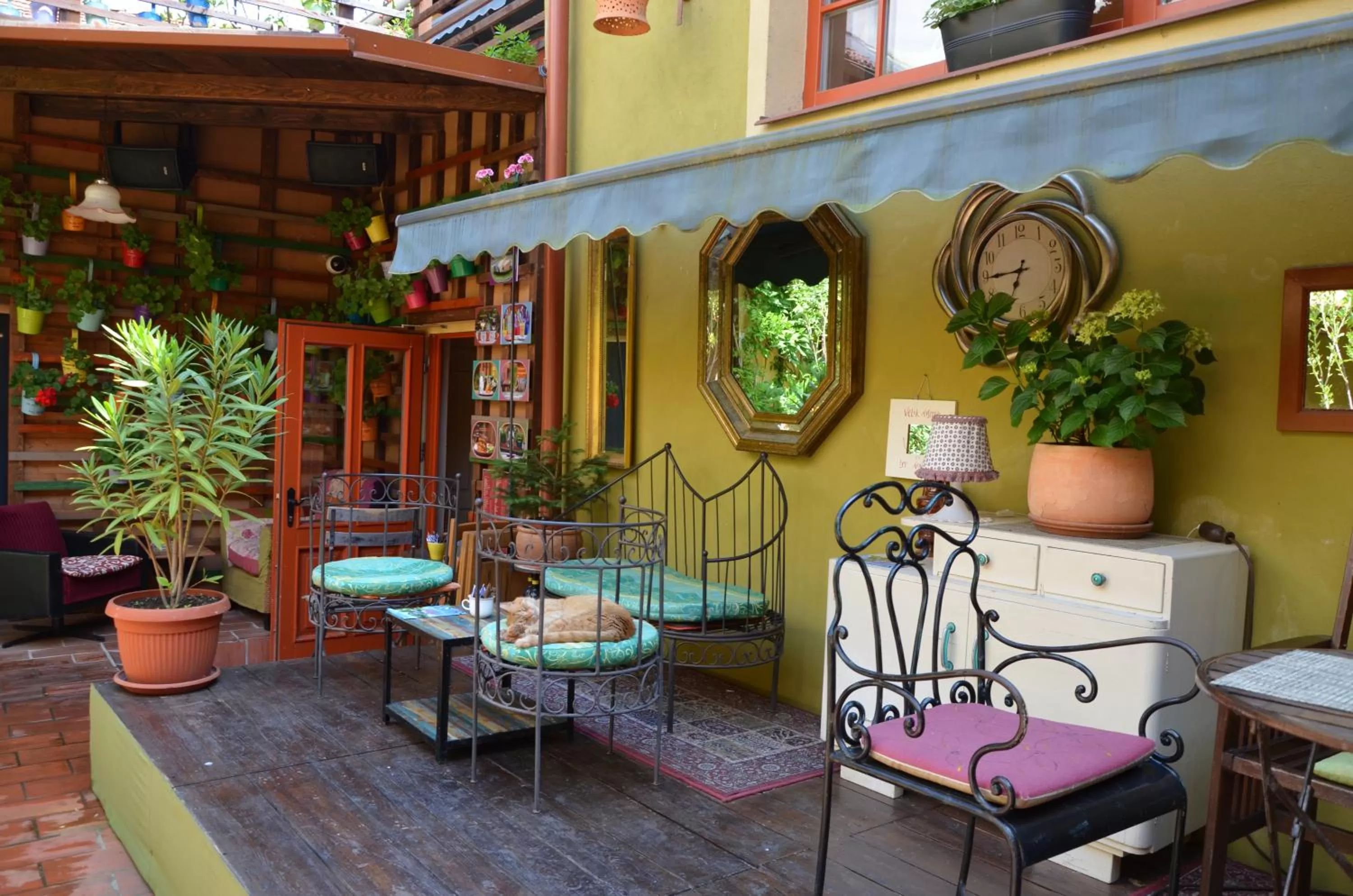 Garden in MuziKafe - Home of Culture