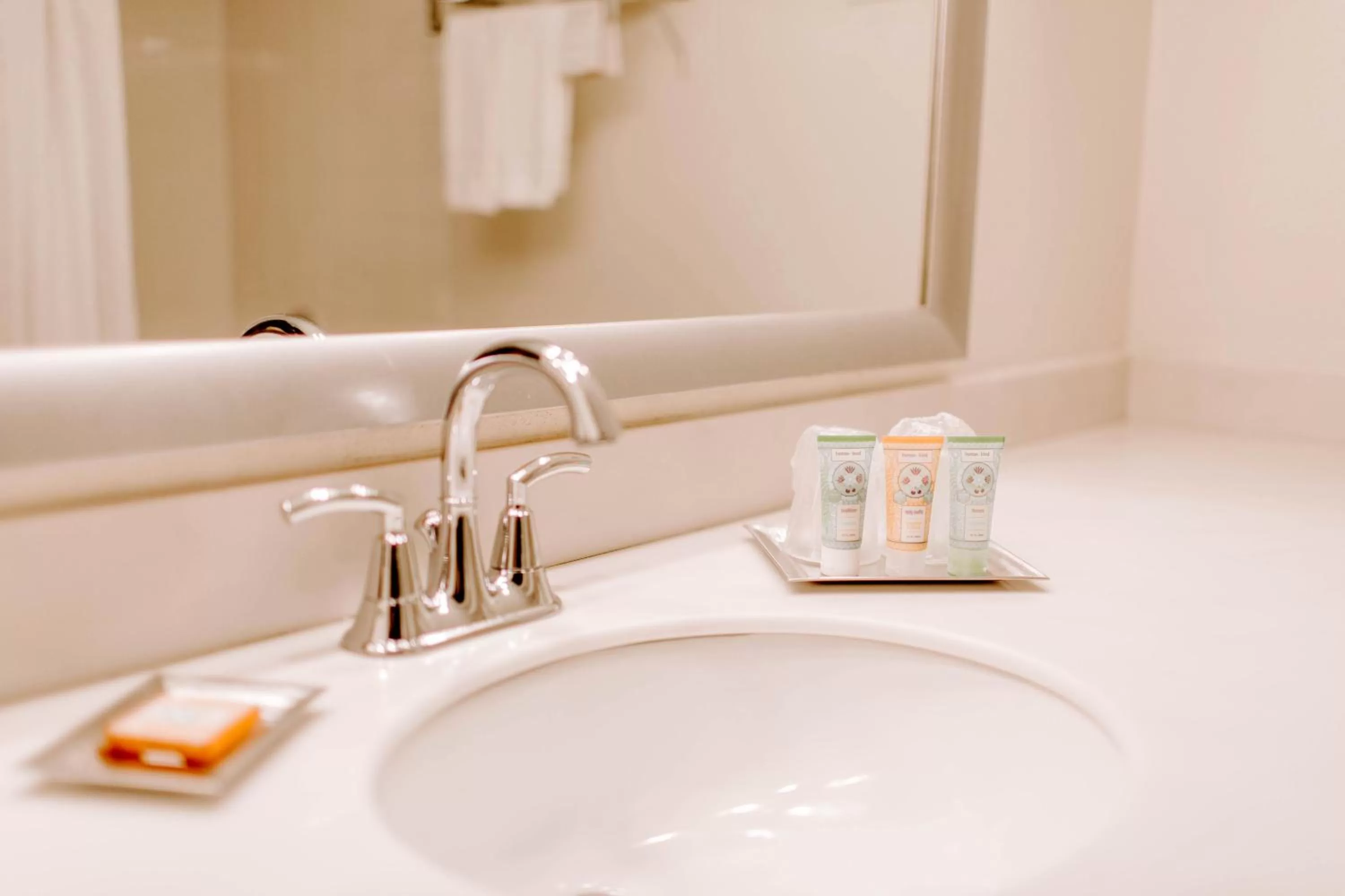 Bathroom in Wyndham Garden Dallas North