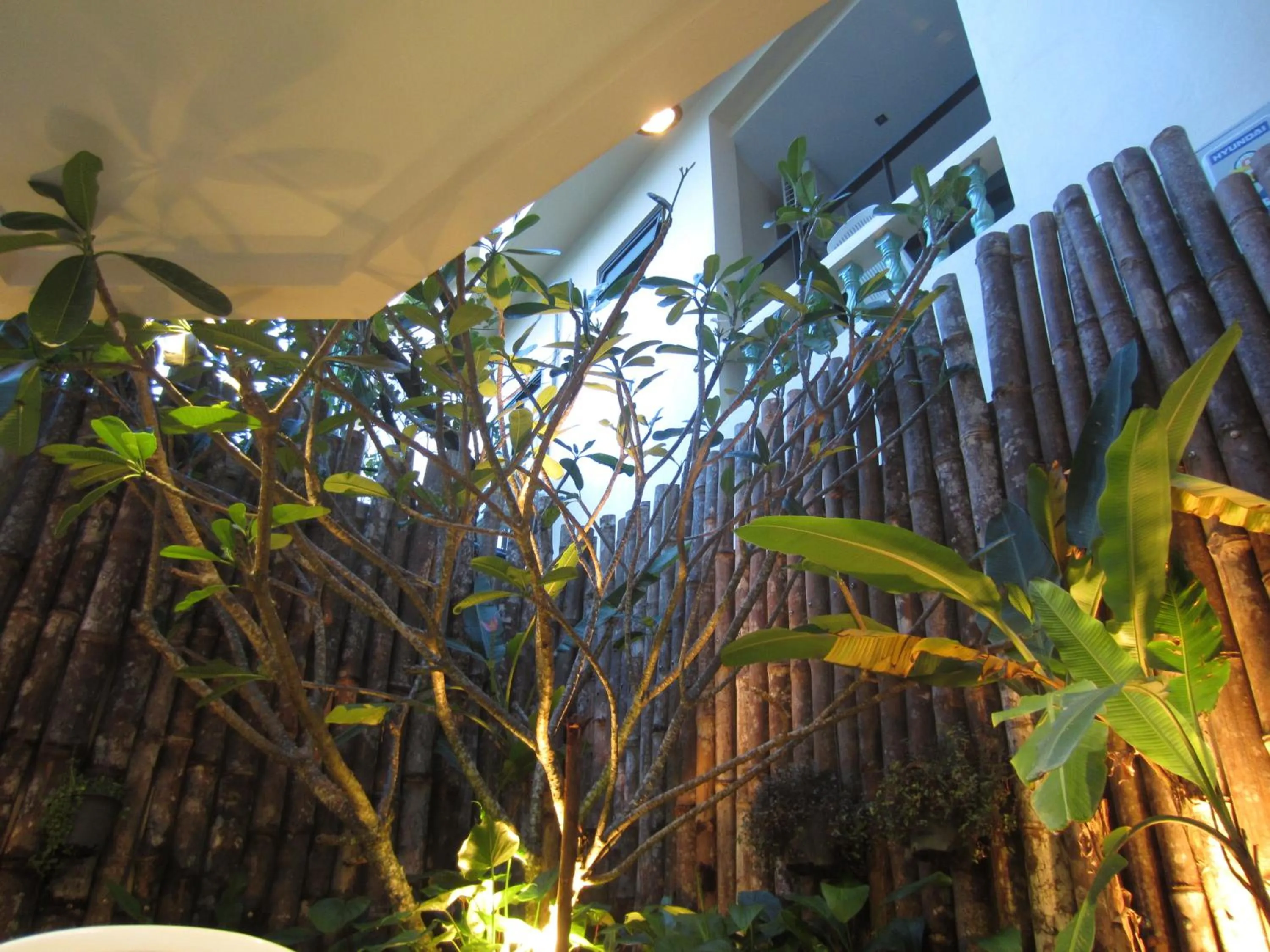 Garden in The Wave Hotel Patong SHA