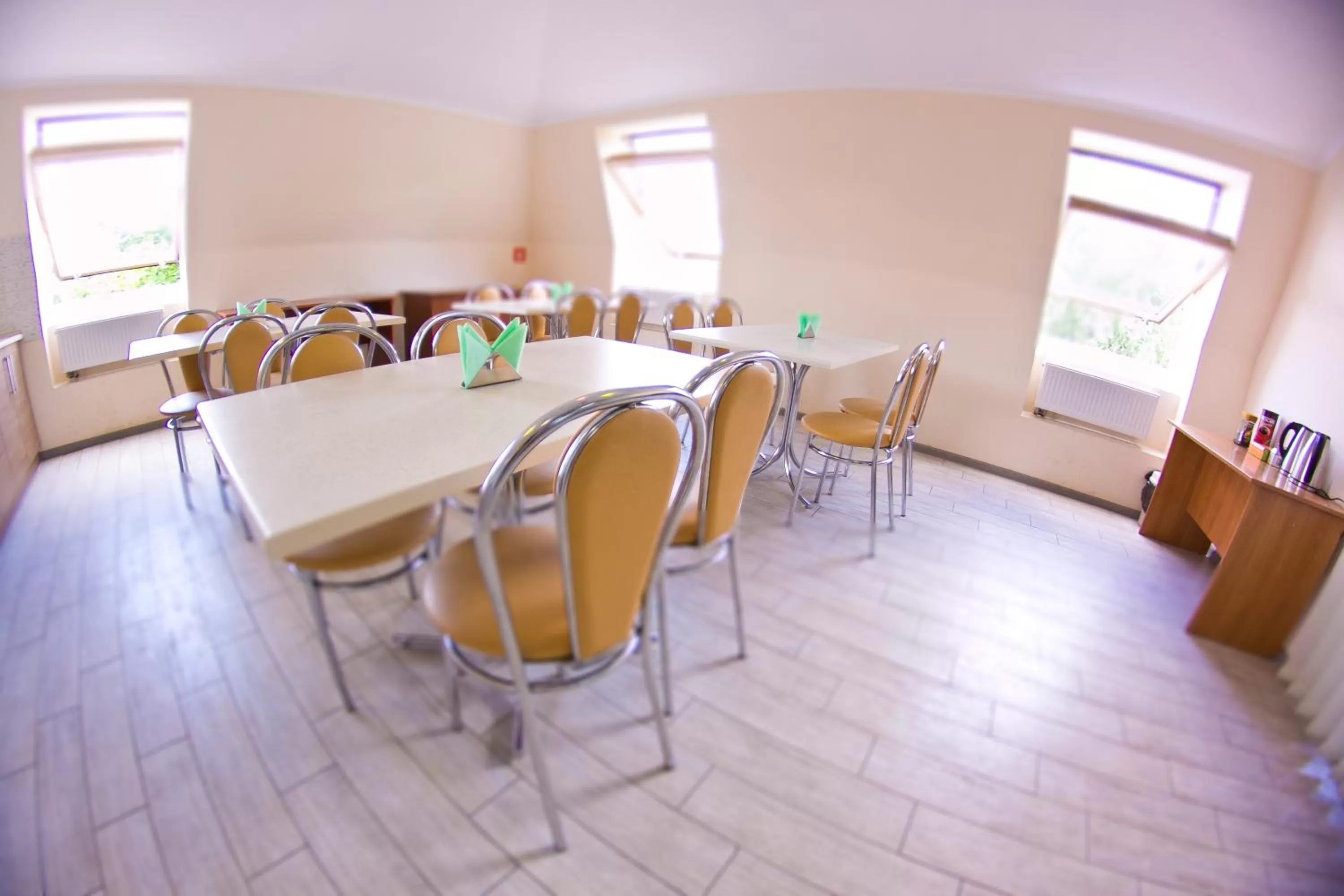 Restaurant/places to eat in Budget Hotel Ekotel