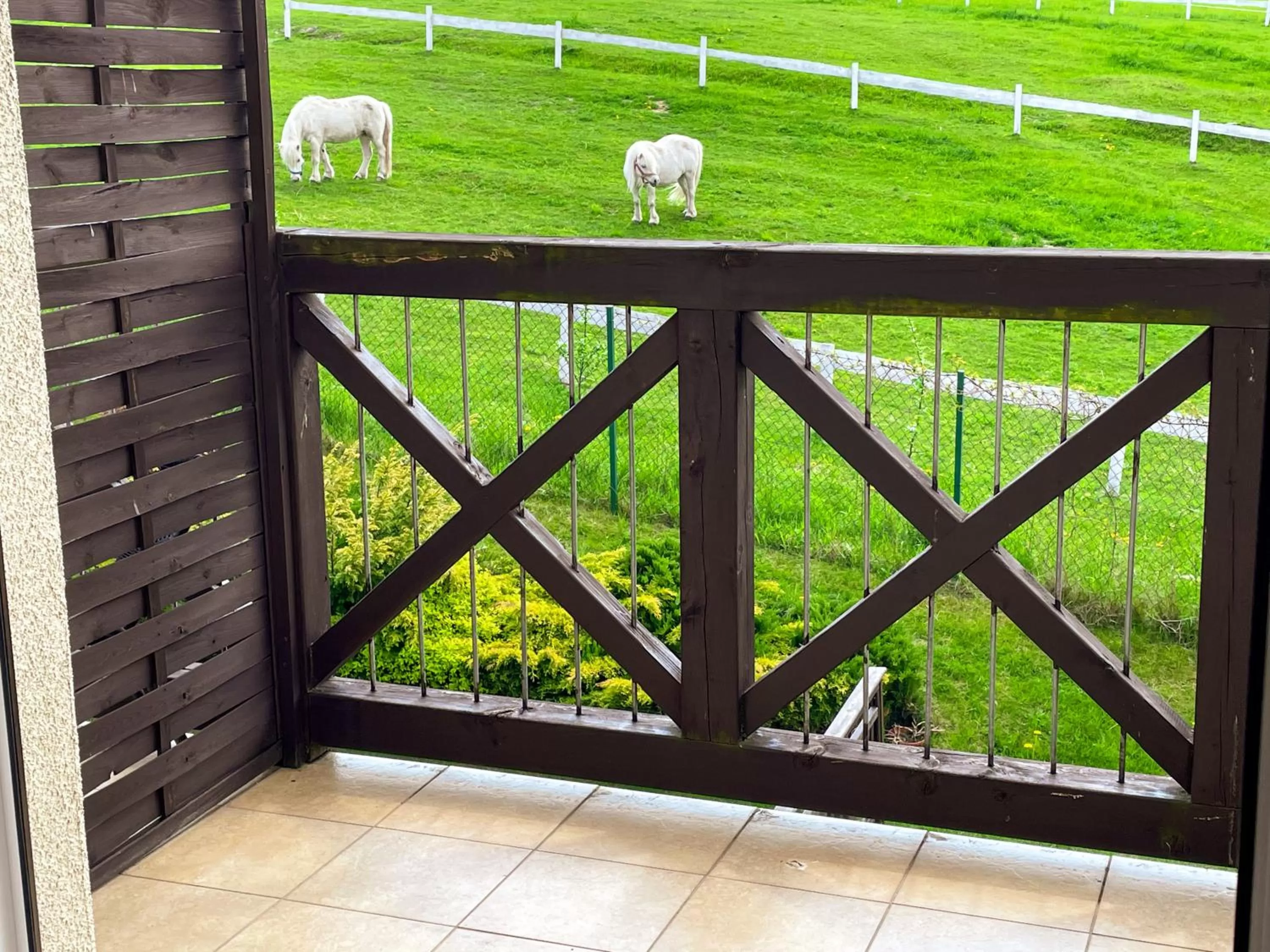 Balcony/Terrace in Hotel Santa Monica