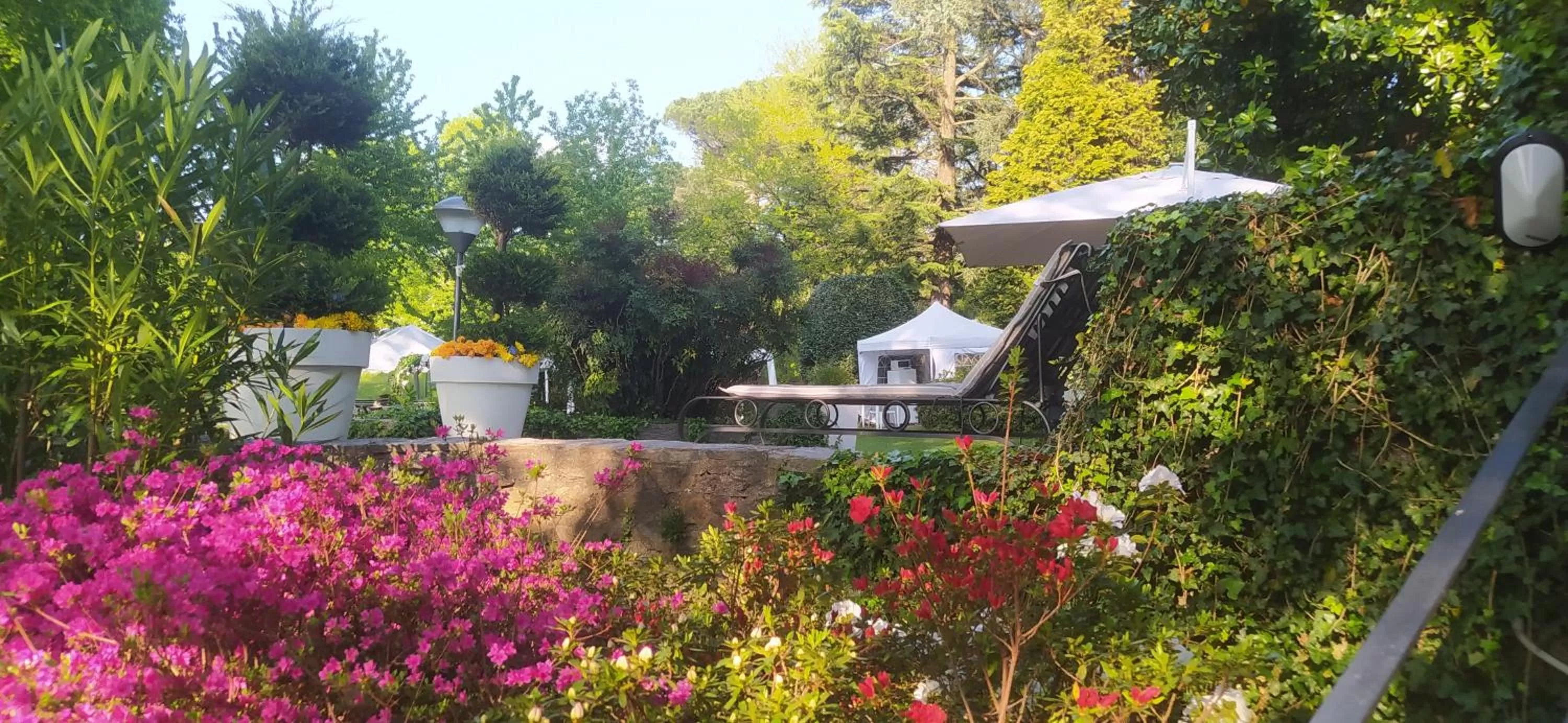 "La Selvetta" bed and breakfast