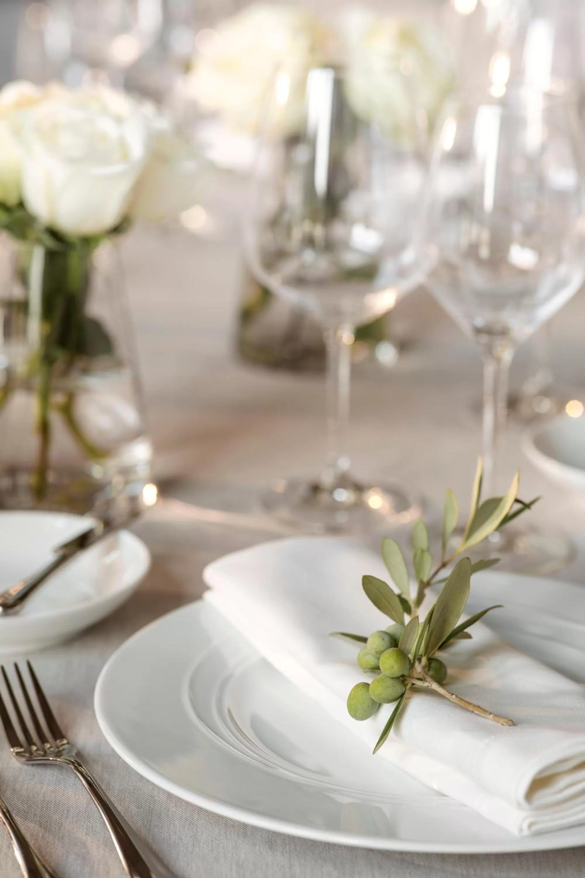 wedding in One&Only Portonovi