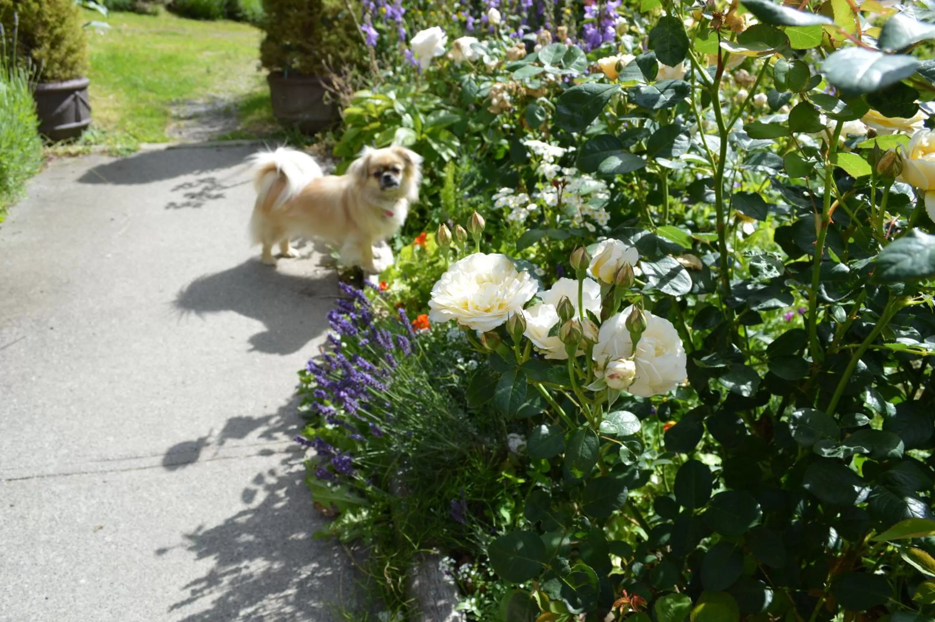 Property building in Armand Heights