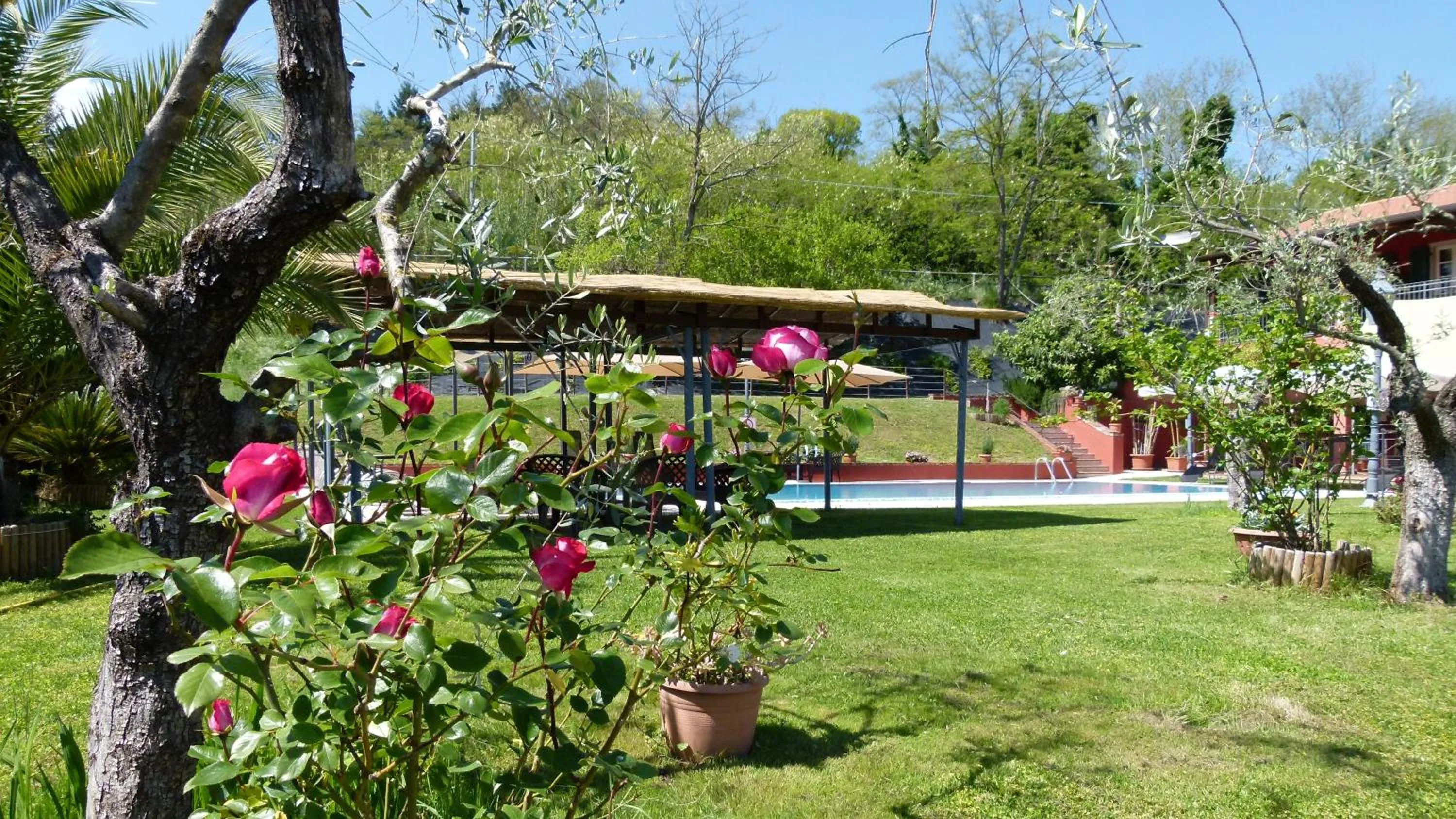 Natural landscape in Albergo la Luna