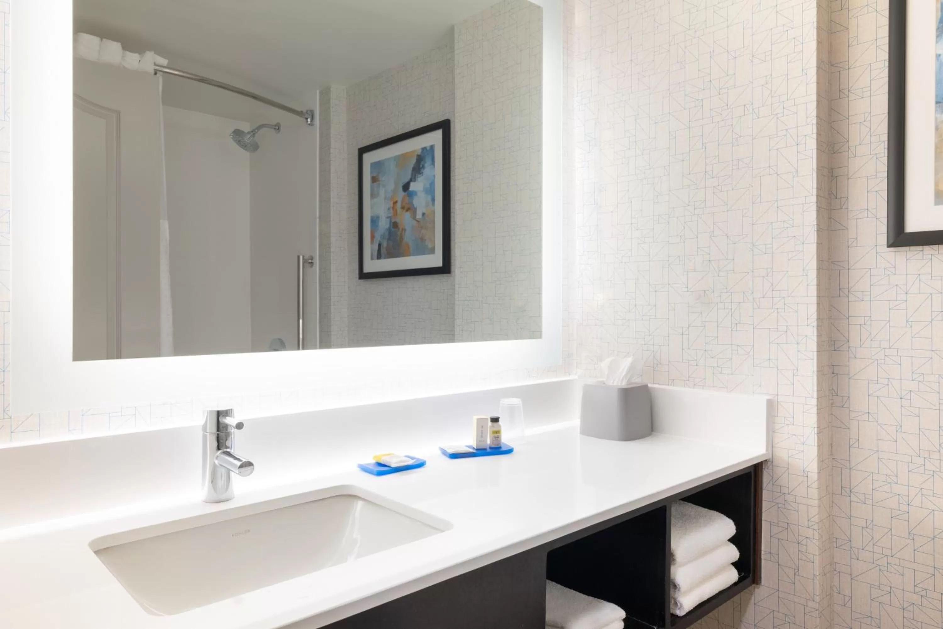 Bathroom in Holiday Inn Express & Suites Boston - Cambridge by IHG