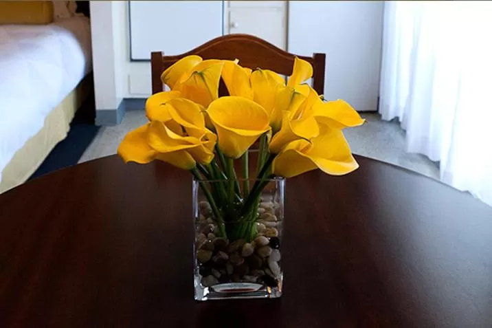 Other in Coral Reef Inn & Condo Suites