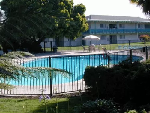 Swimming pool in Coral Reef Inn & Condo Suites