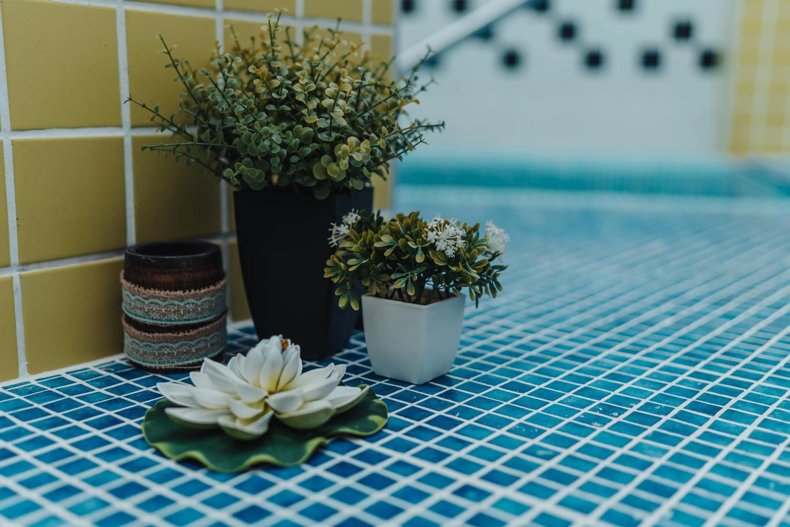 Spa and wellness centre/facilities in Gran Hotel Don Manuel