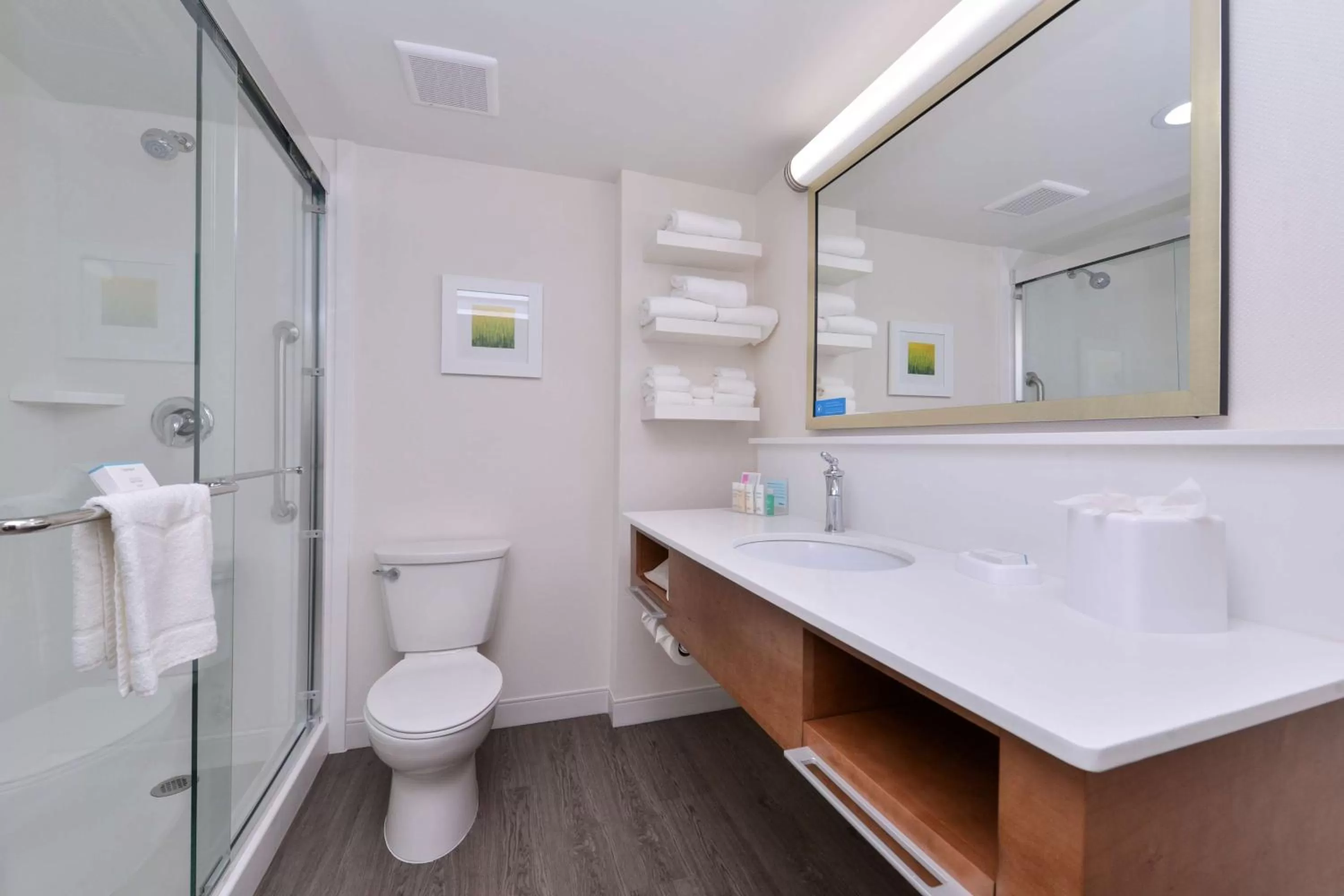 Bathroom in Hampton Inn Cartersville