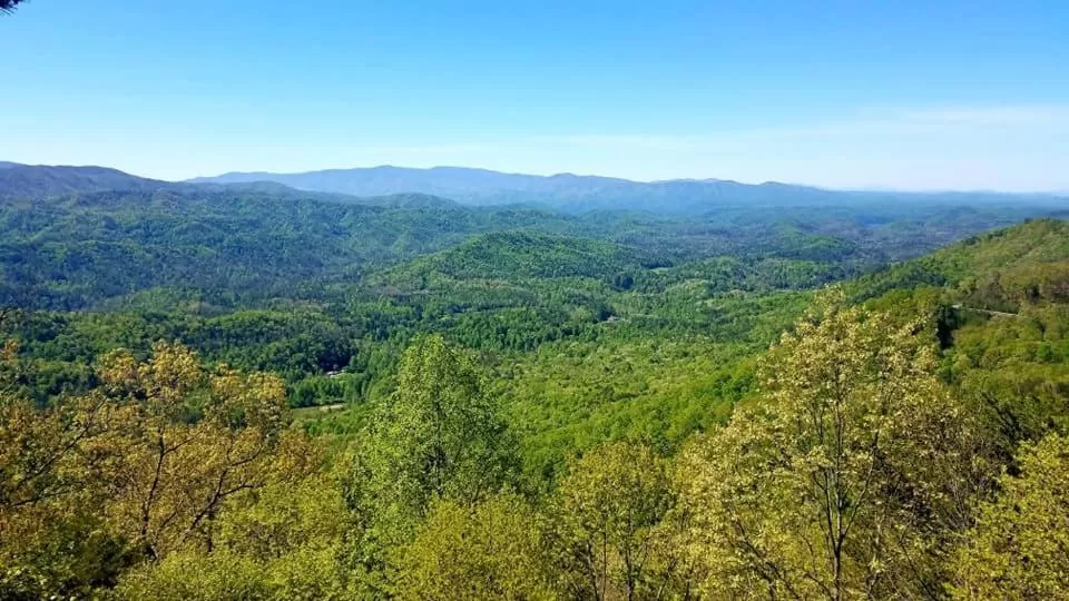 Natural Landscape in Dragon City