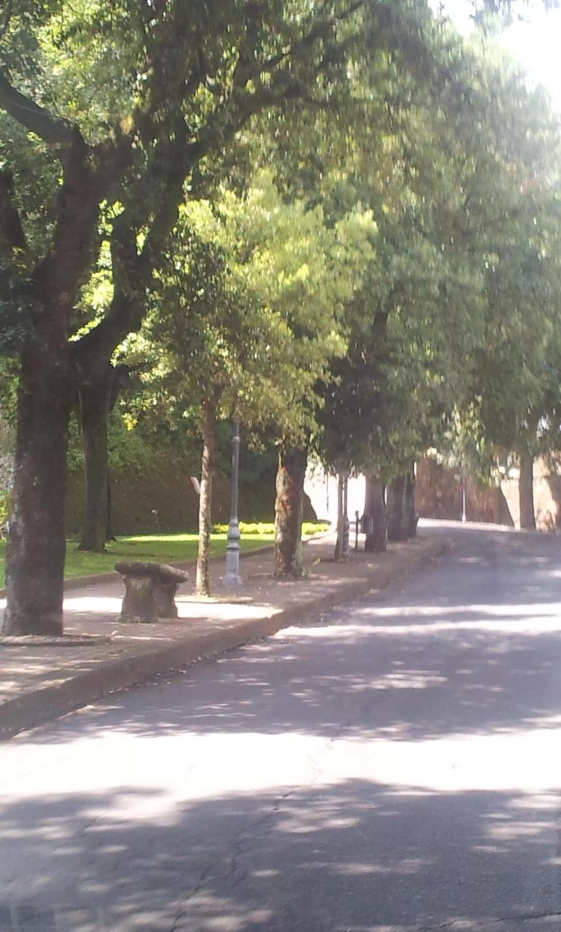 Neighbourhood in Nerone's - Sutri Bed & Dinner