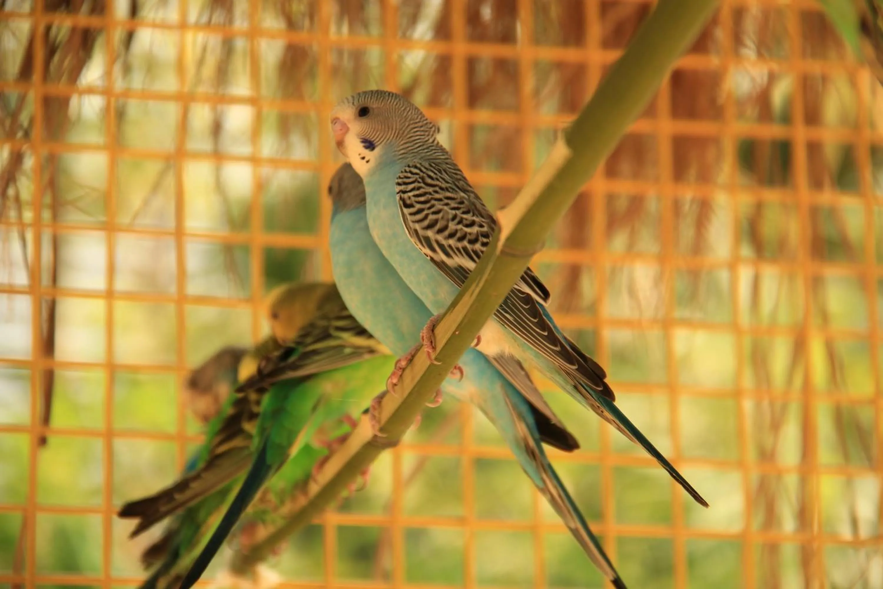 Fitness centre/facilities in Crowne Plaza Shanghai Xiayang Lake by IHG