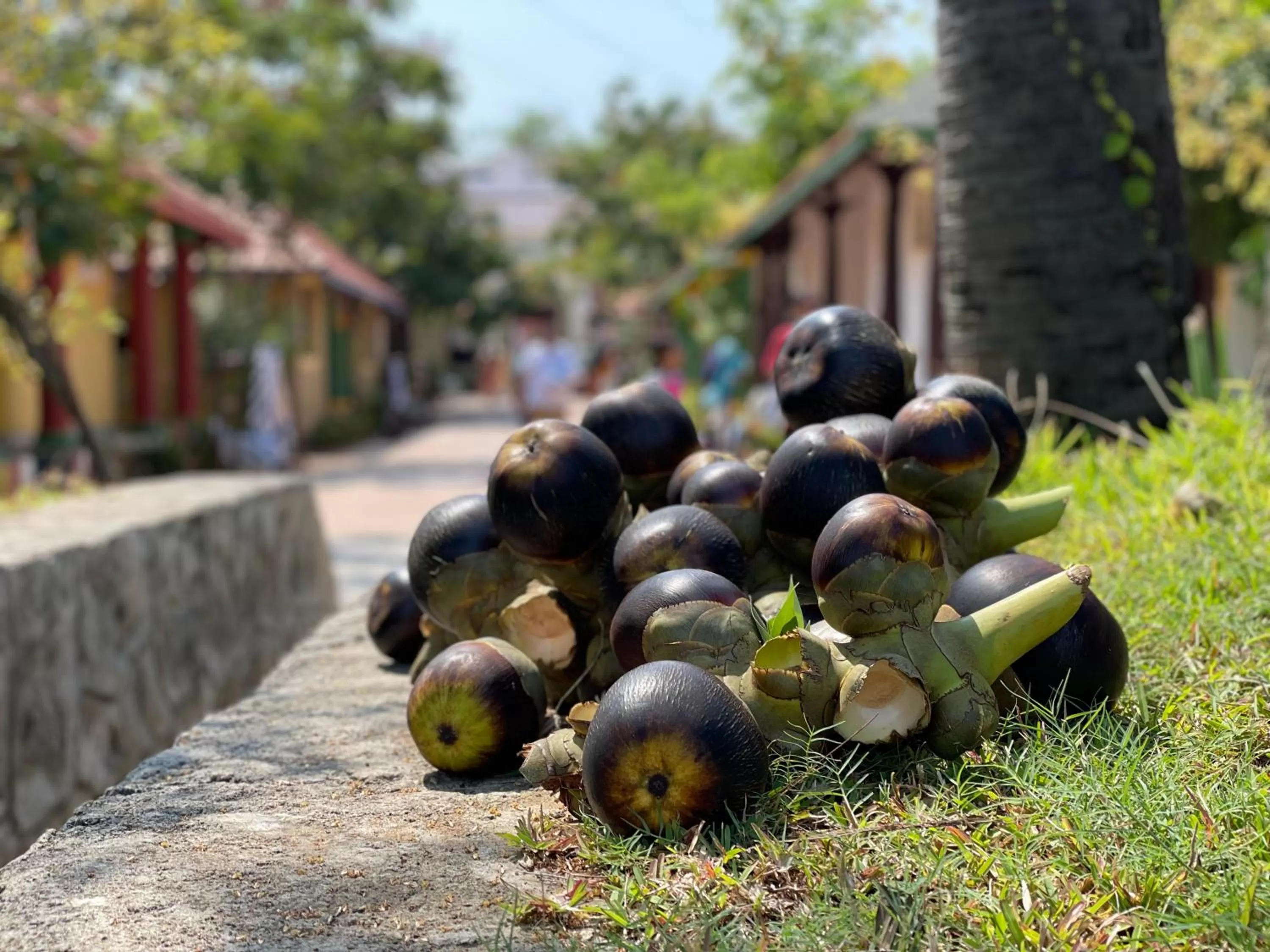 Marutham Village Resort