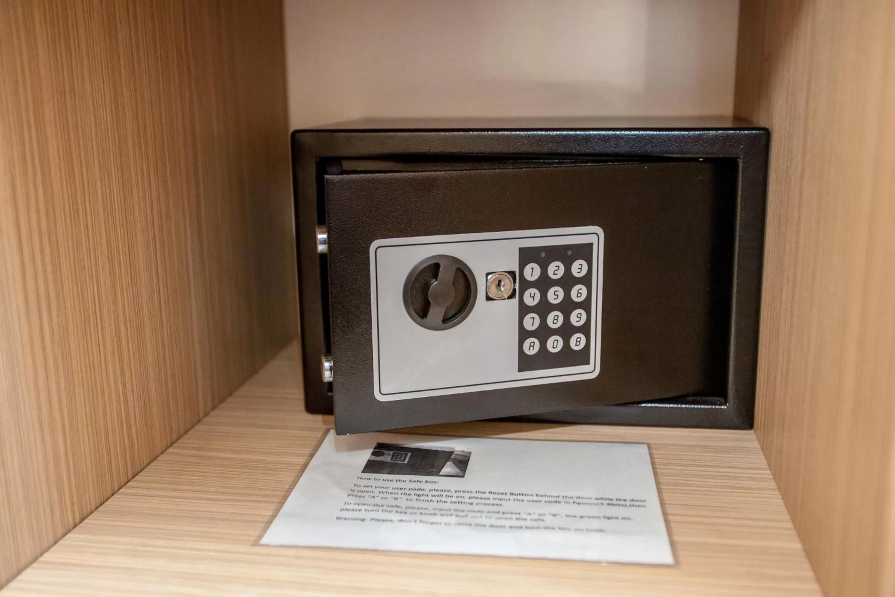 safe in Rustaveli Palace