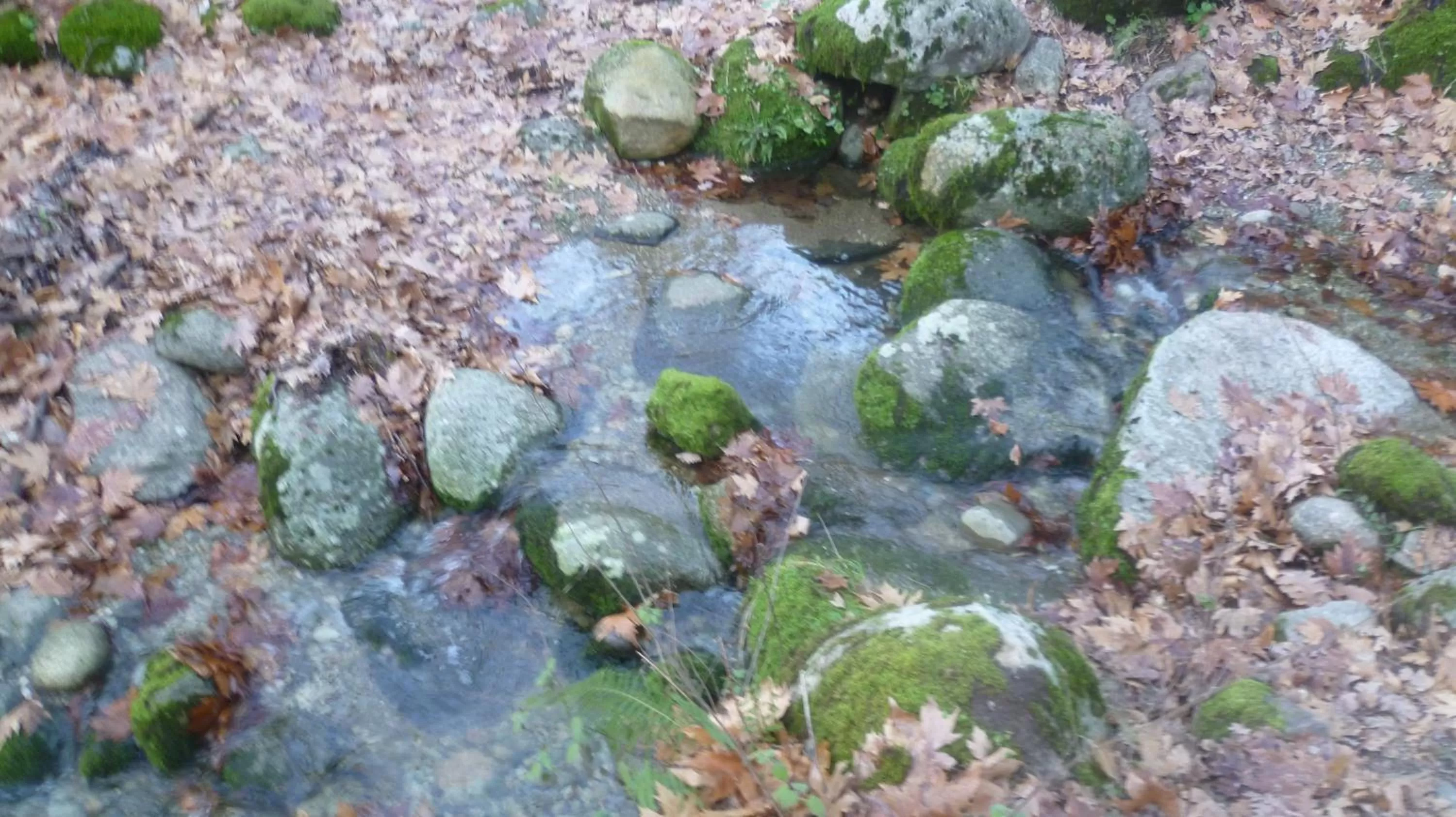 Nearby landmark in Hotel Meteoritis