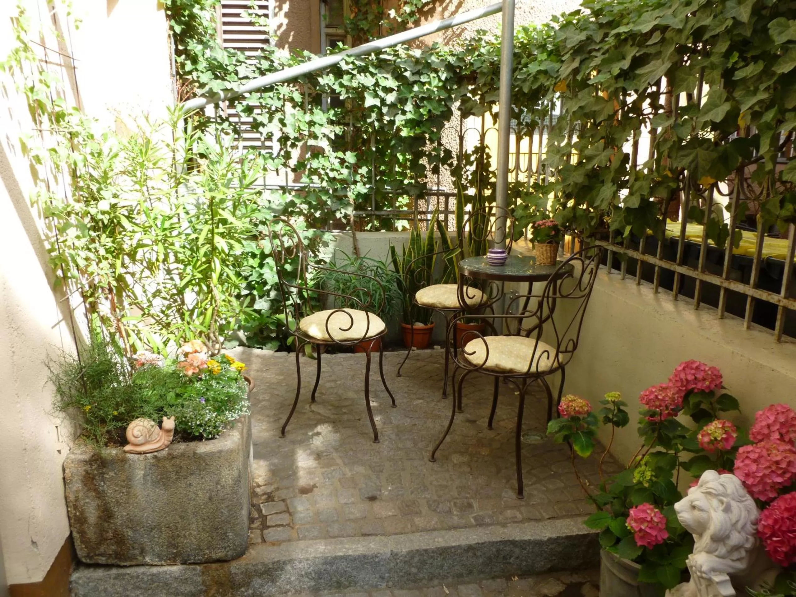 Garden view in Hotel Hauser an der Universität