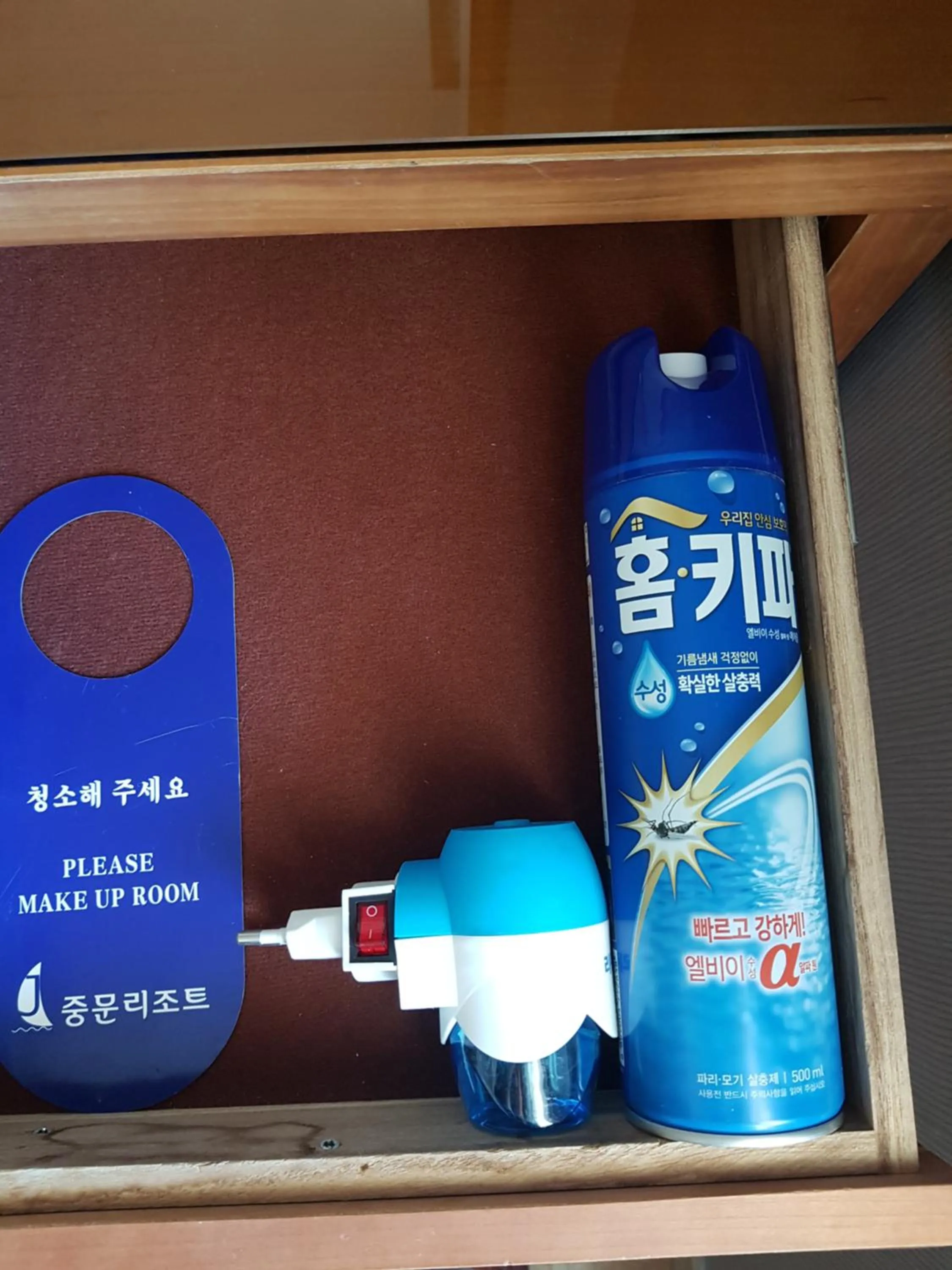 Decorative detail in Jungmun Resort Jeju