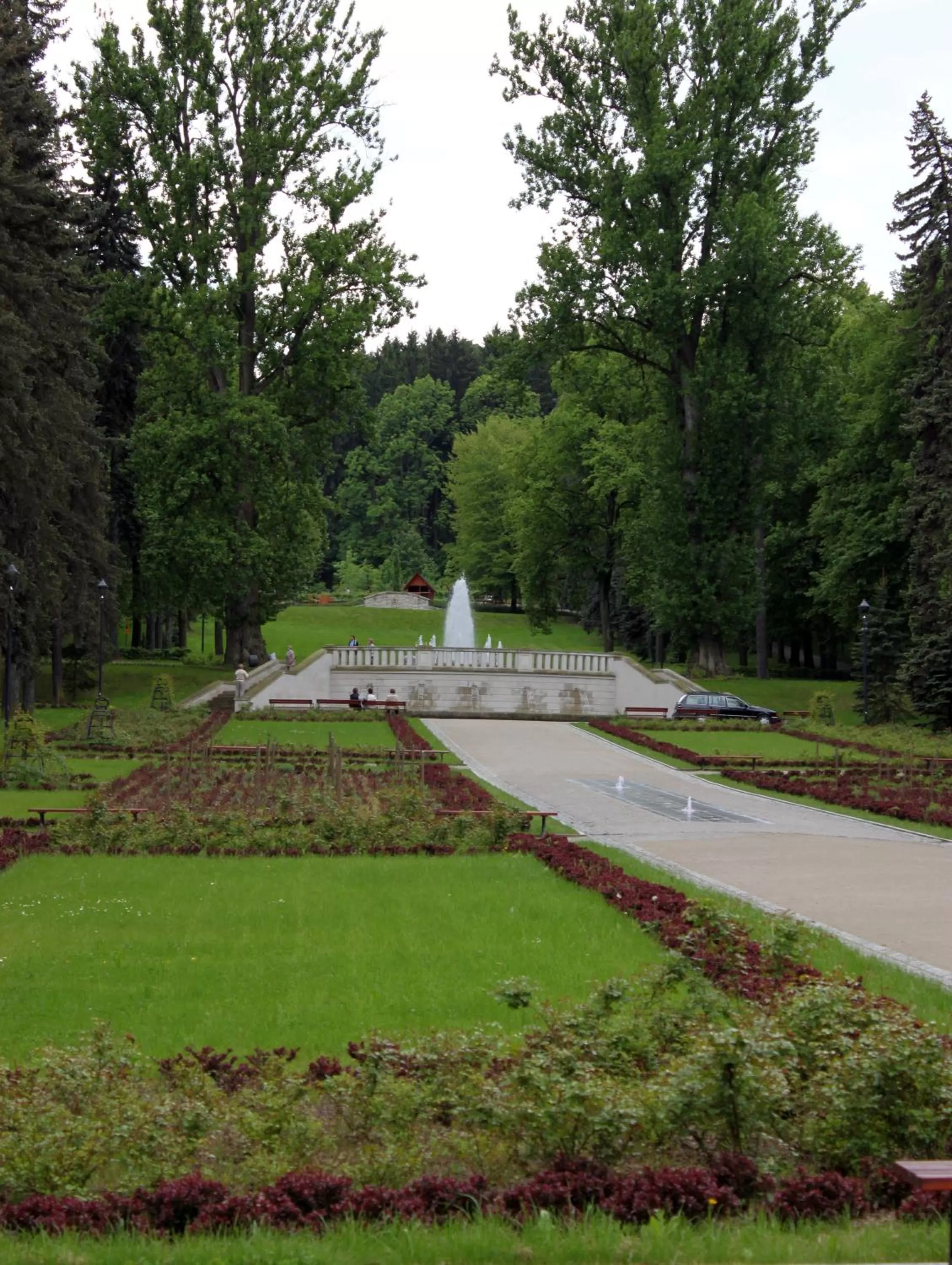 Area and facilities in Hotel Europa