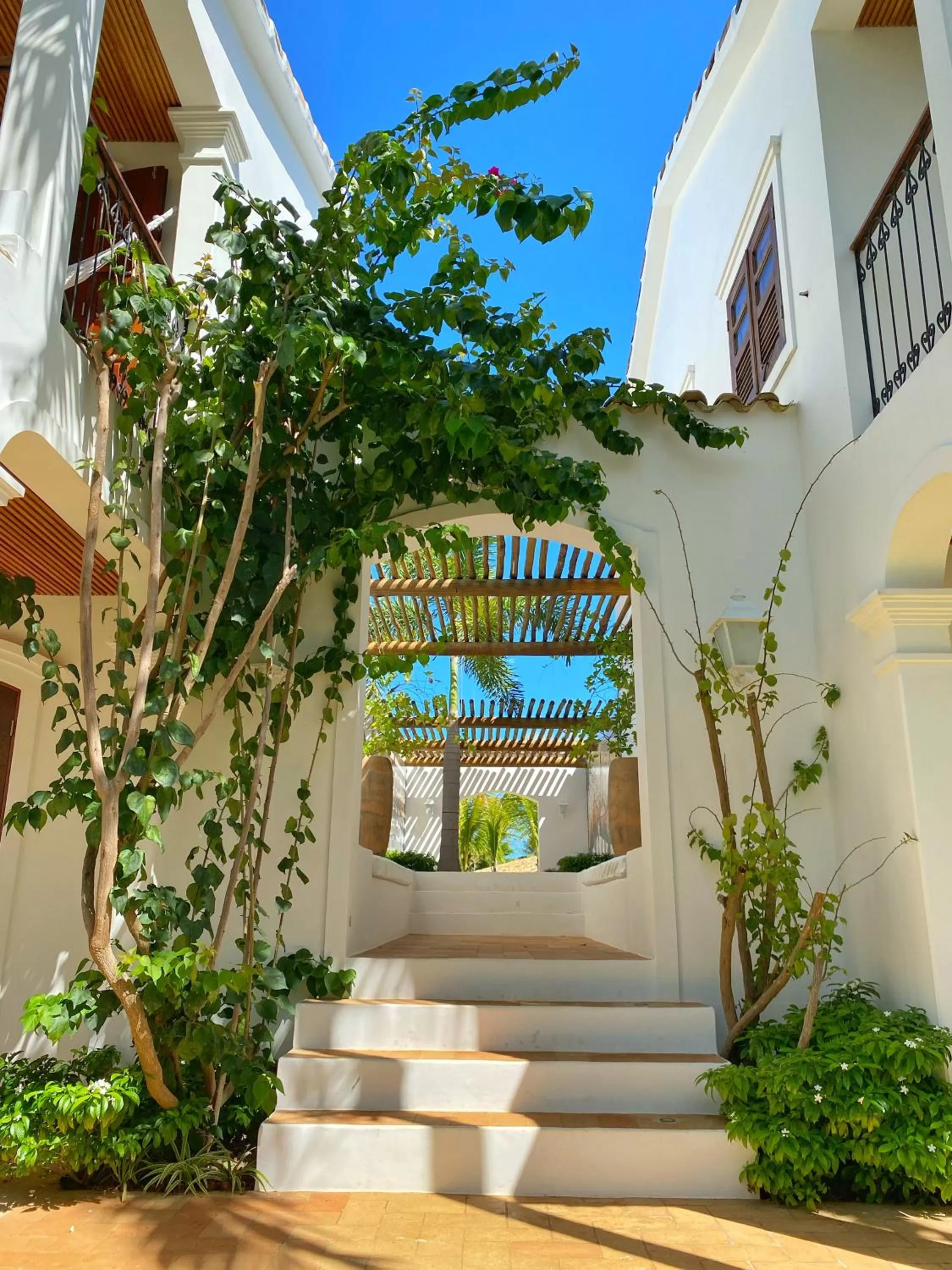 Garden in Villa Canziani & Donato