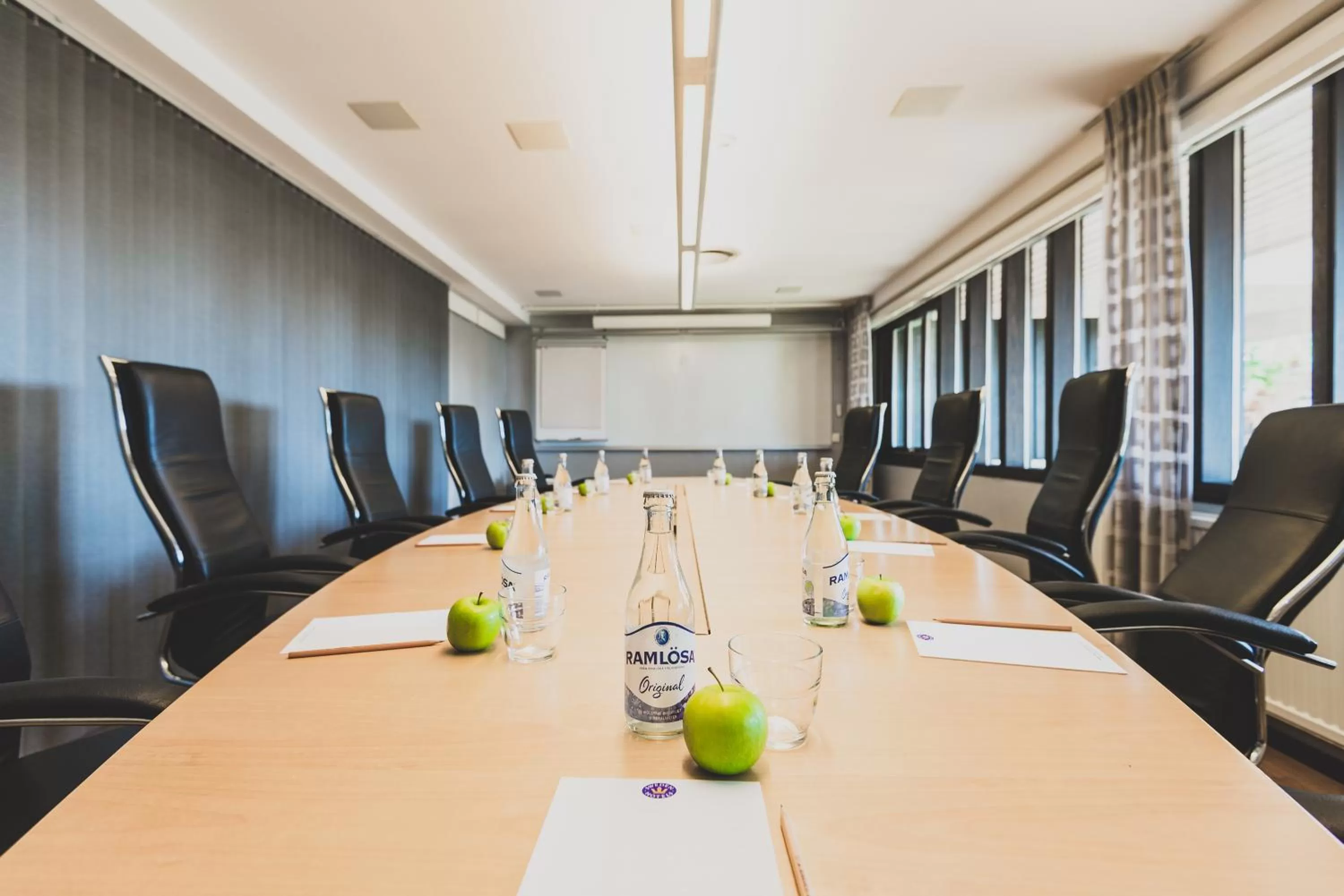 Business facilities in Hotel Bellevue