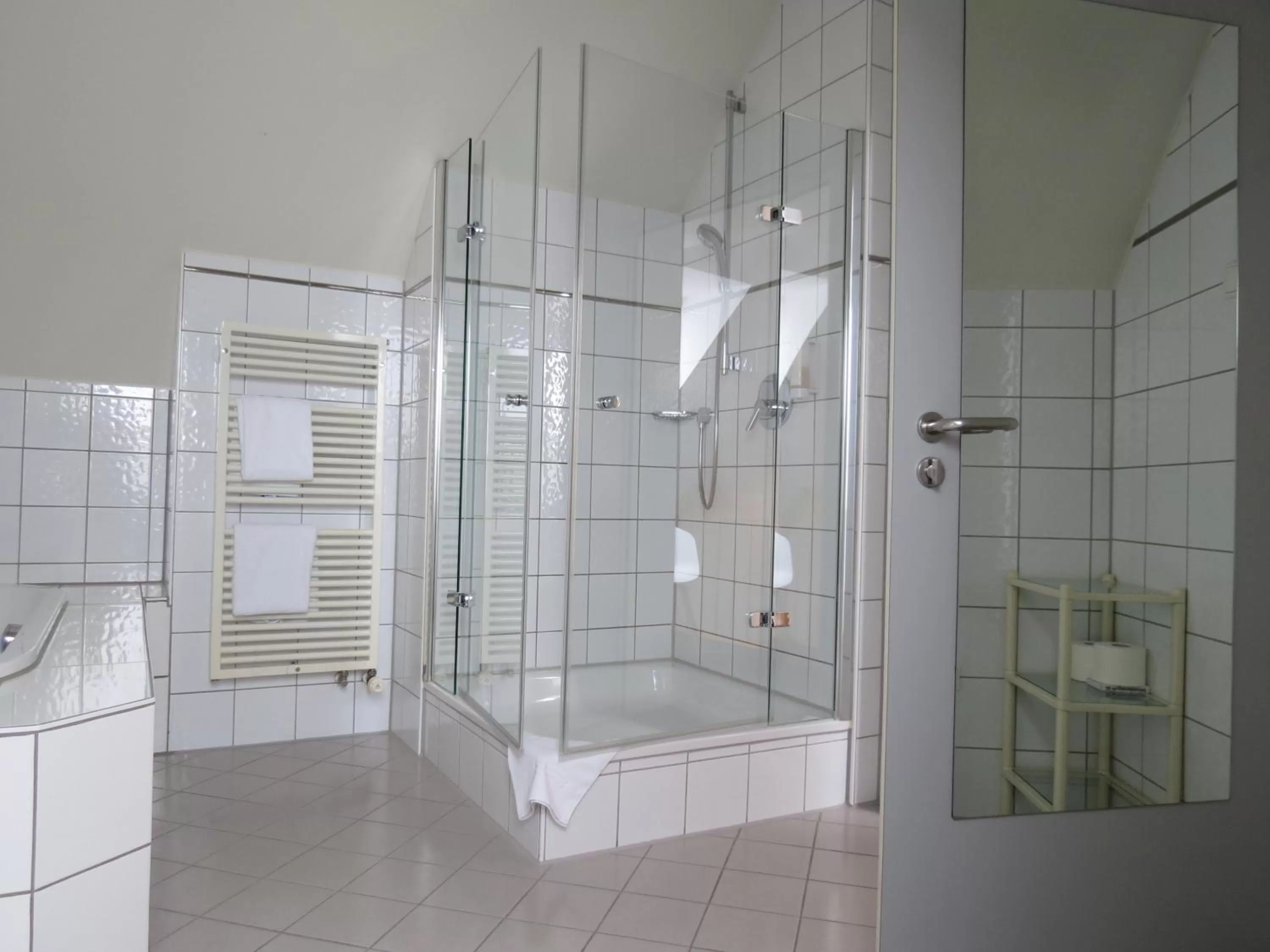 Shower in Comfor Hotel Ulm City