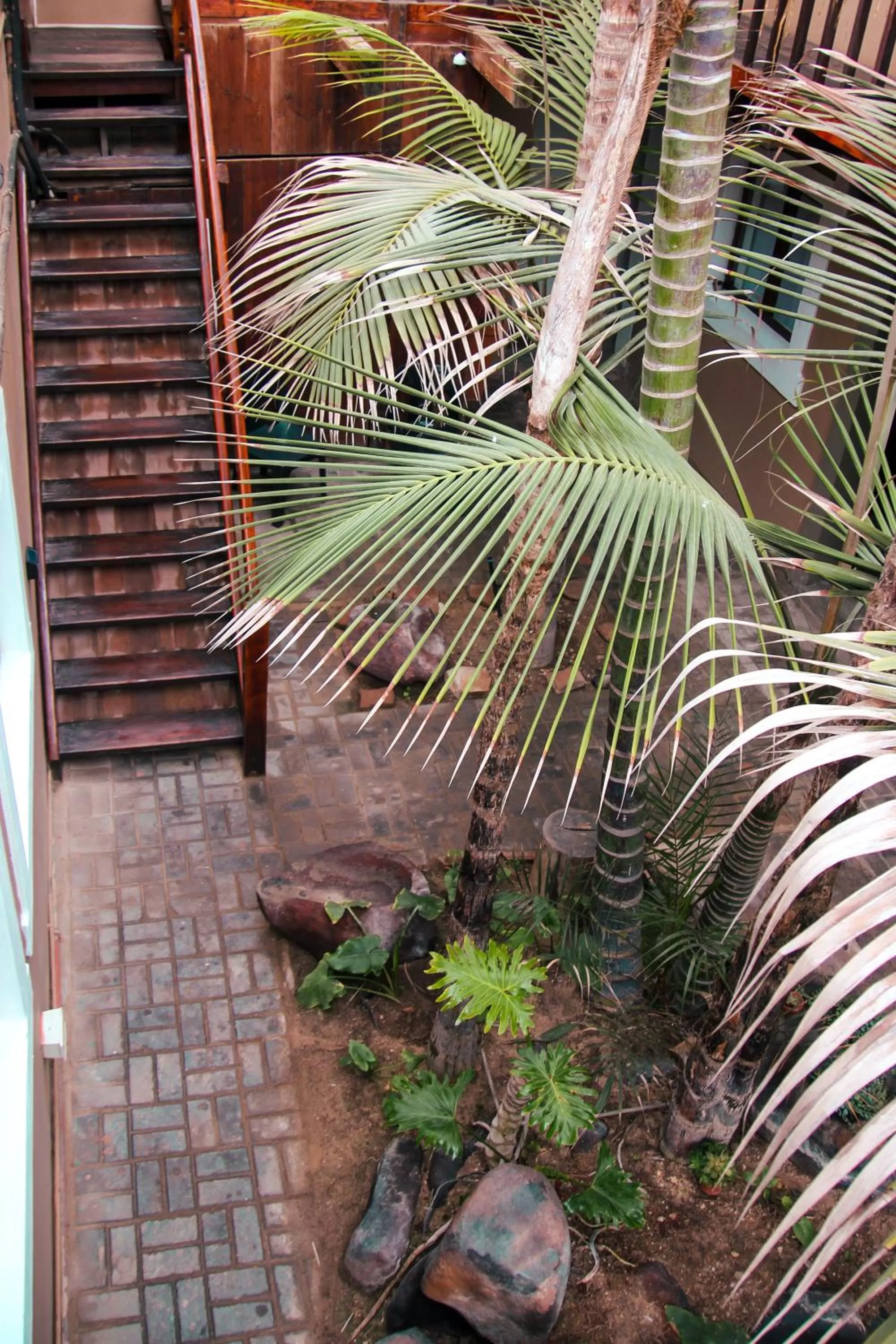 The Residence at Villa Wiese