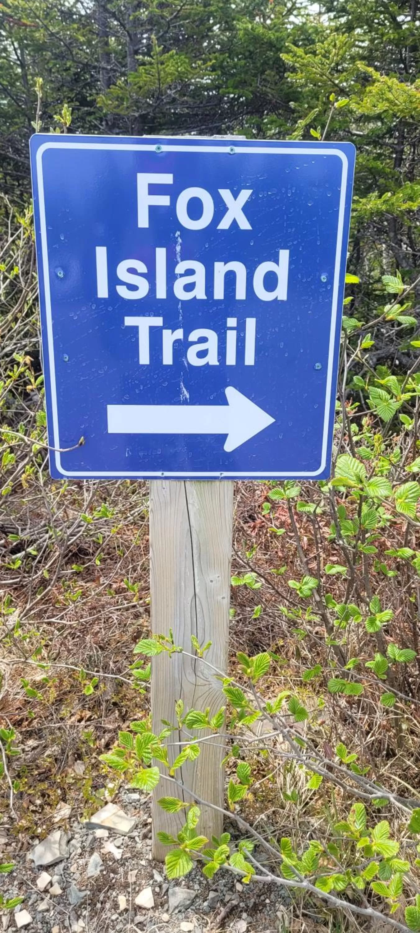 Nearby landmark in The Harbourside Inn