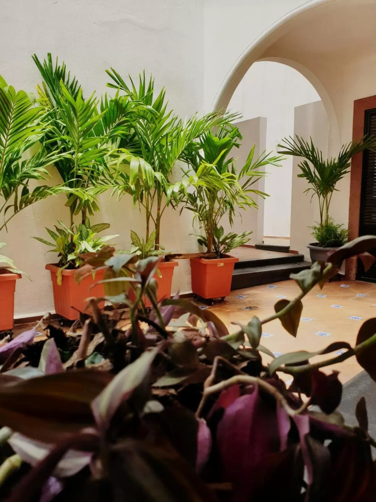 Property building in Hotel Catedral