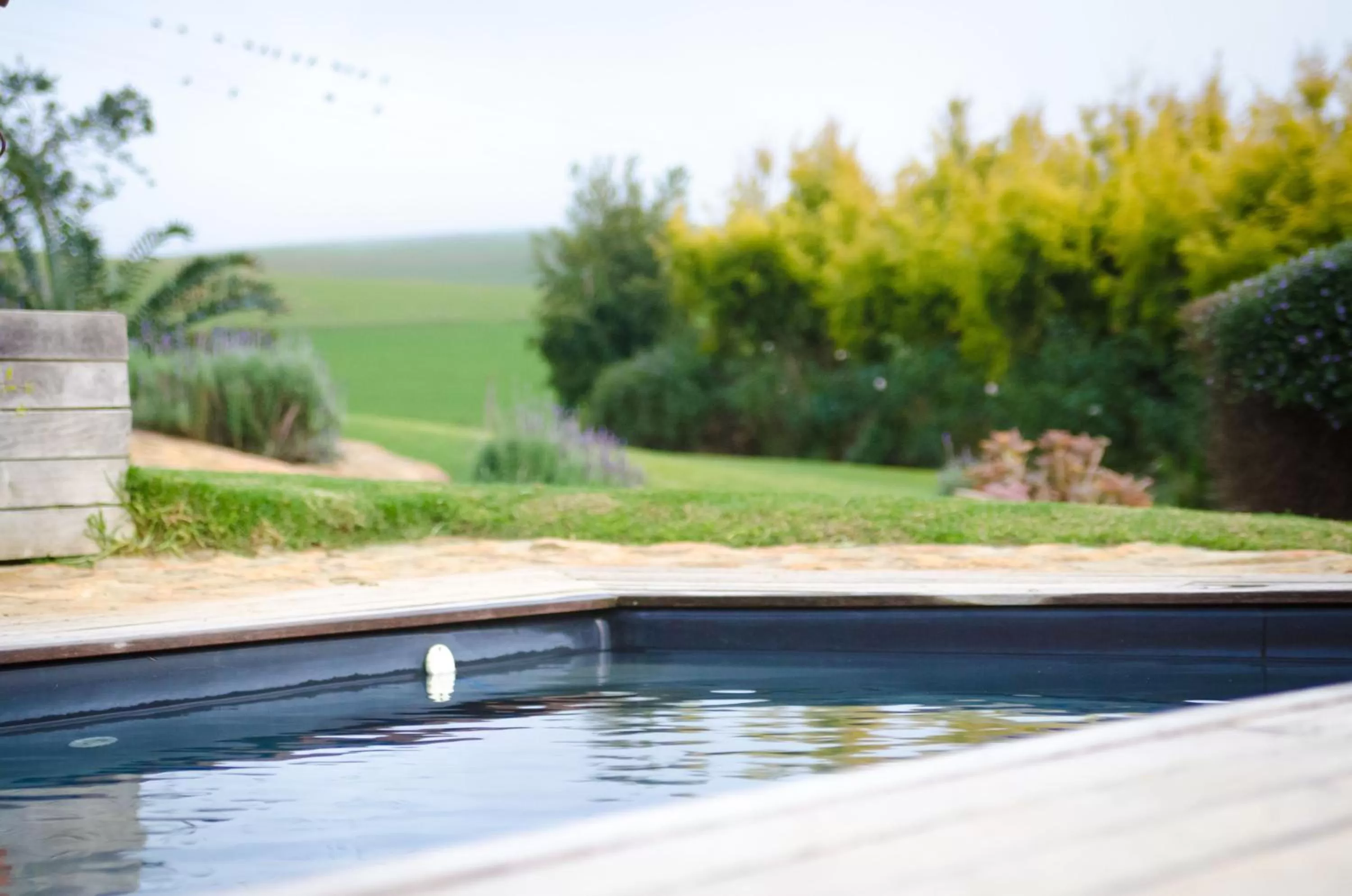 Swimming Pool in Rouxwil Country House