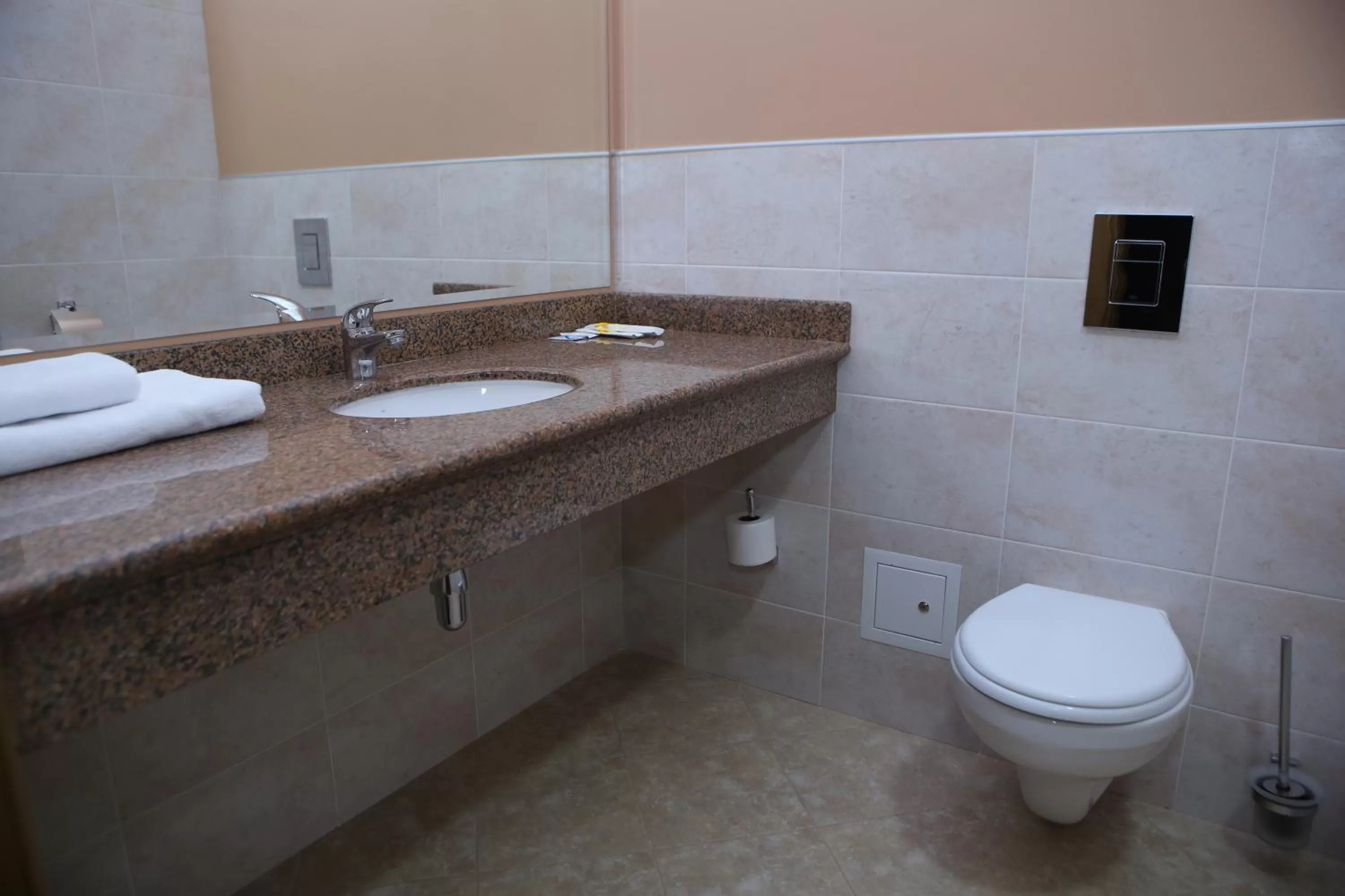 Toilet, Bathroom in Hotel Aner
