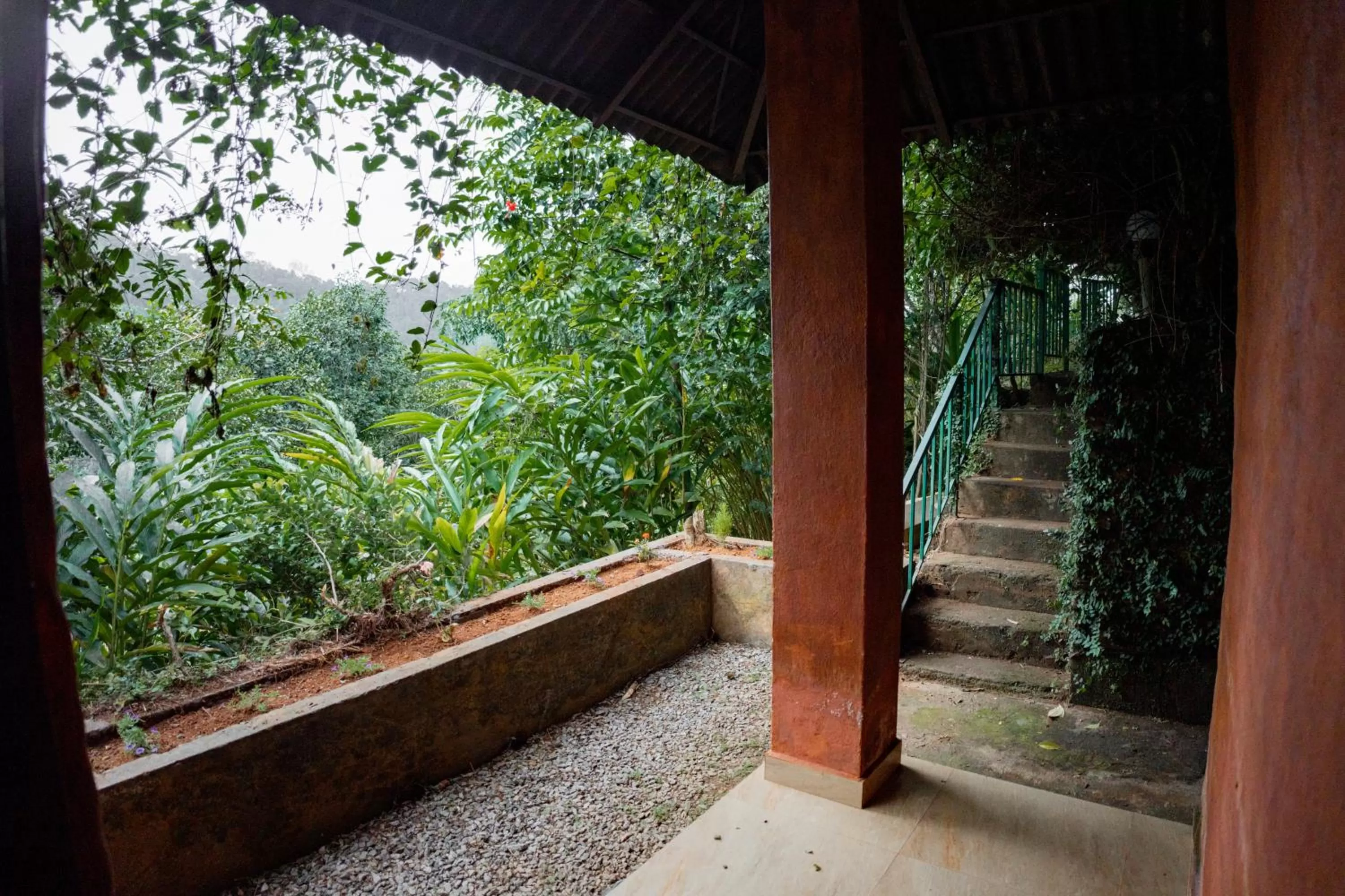 View (from property/room) in Edens Munnar